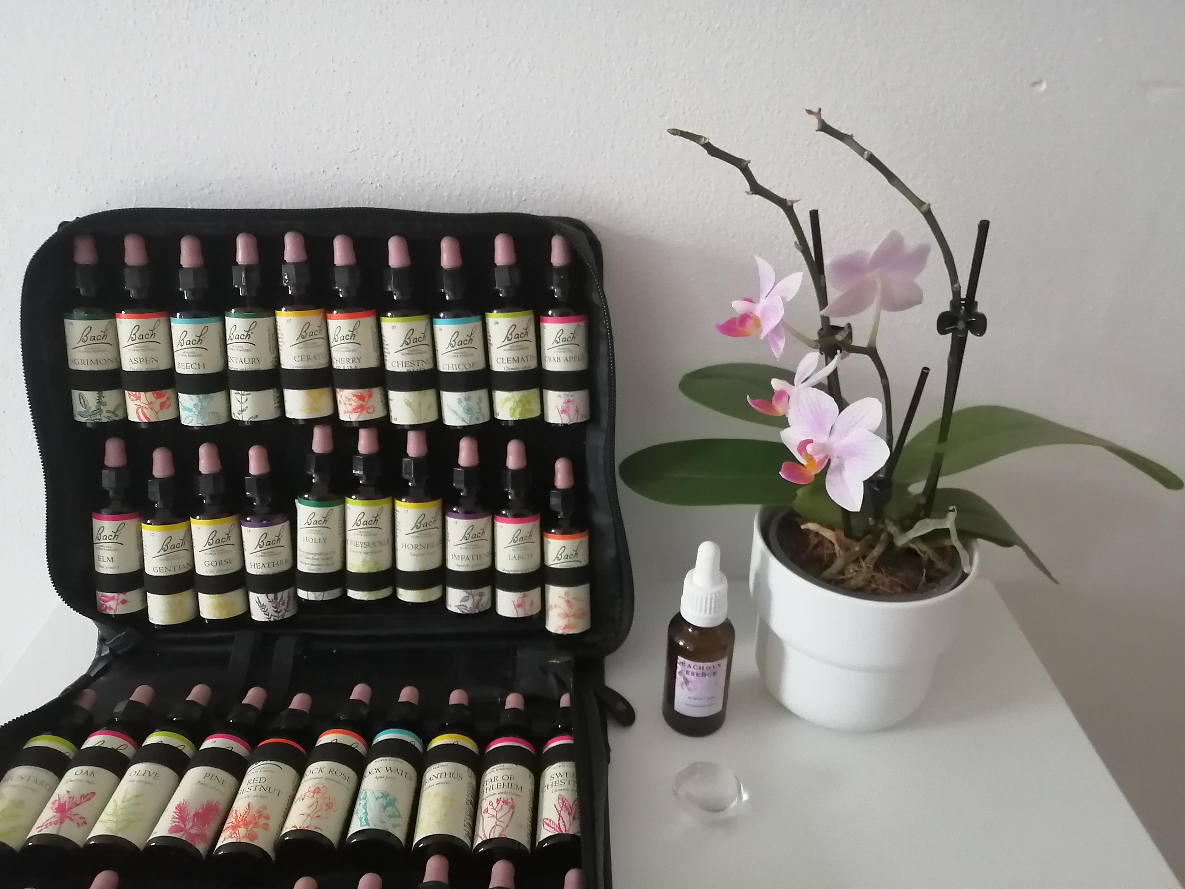 Jemná Terapie Ing. Petra Vítková foto 6