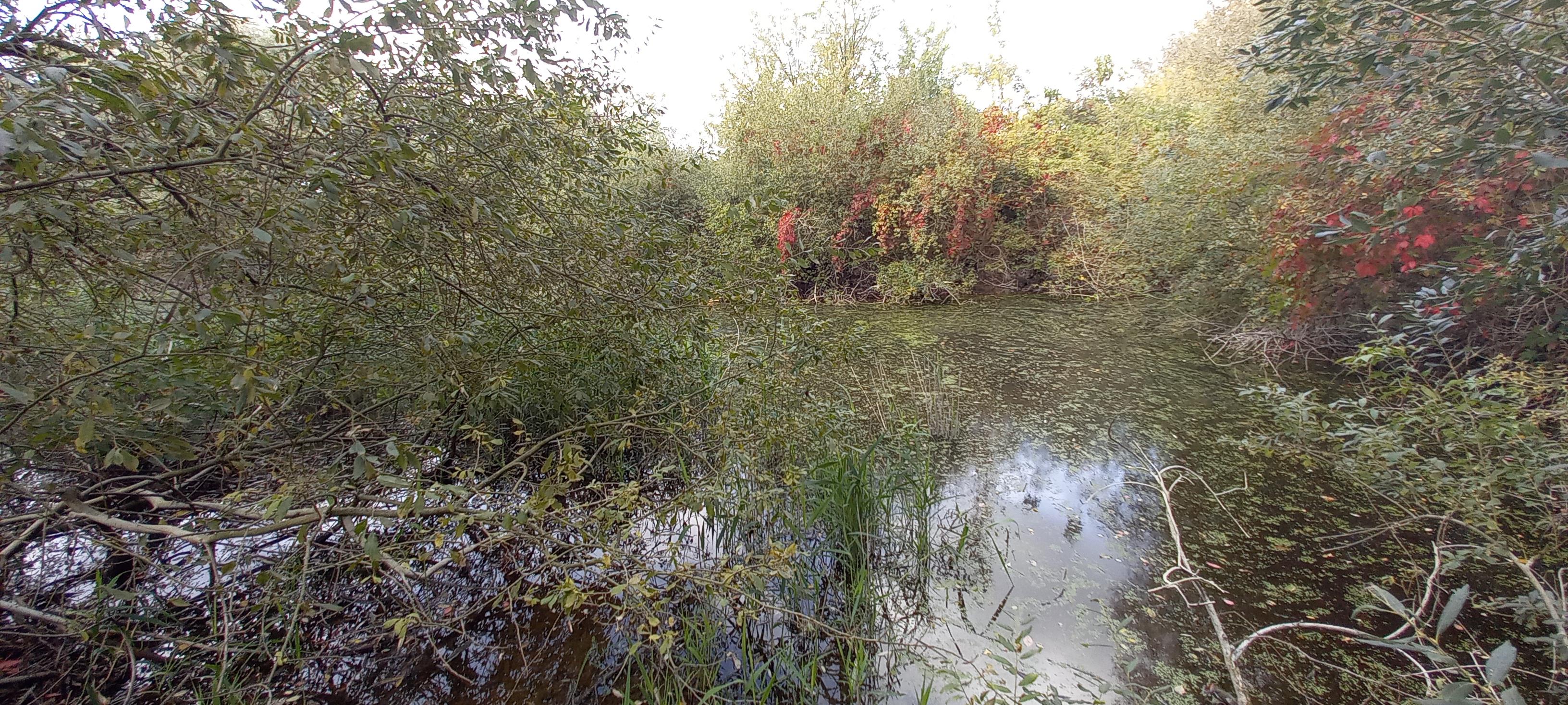 Sběrný dvůr Písková Lhota foto 3