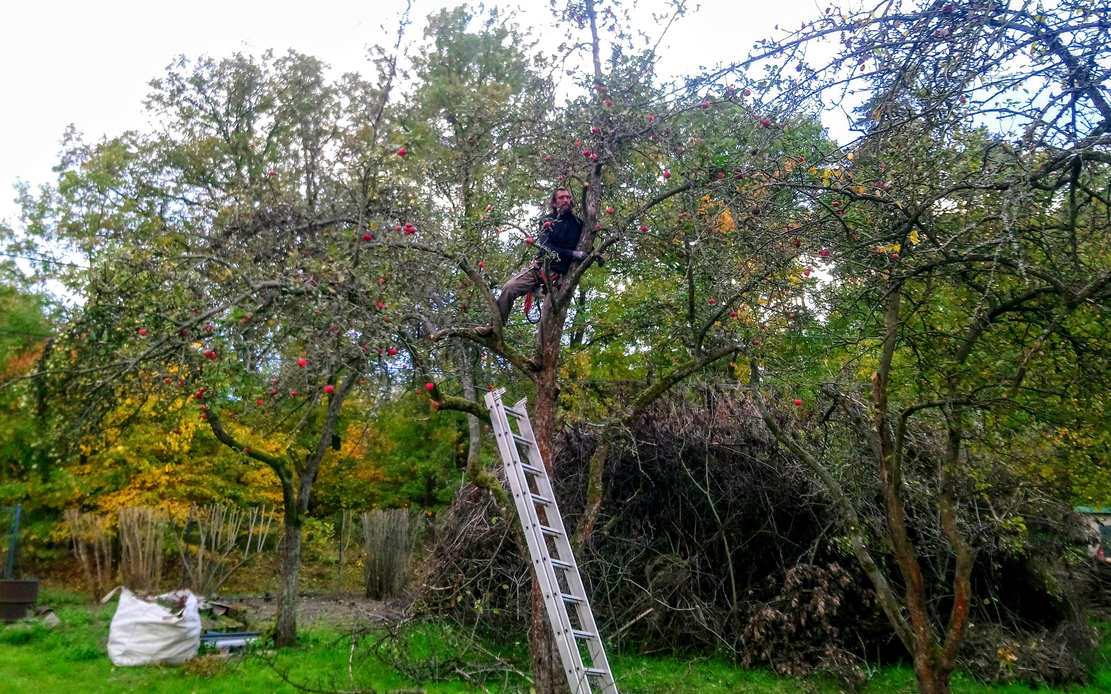 Údržba zahrad Olomouc, s.r.o. foto 4
