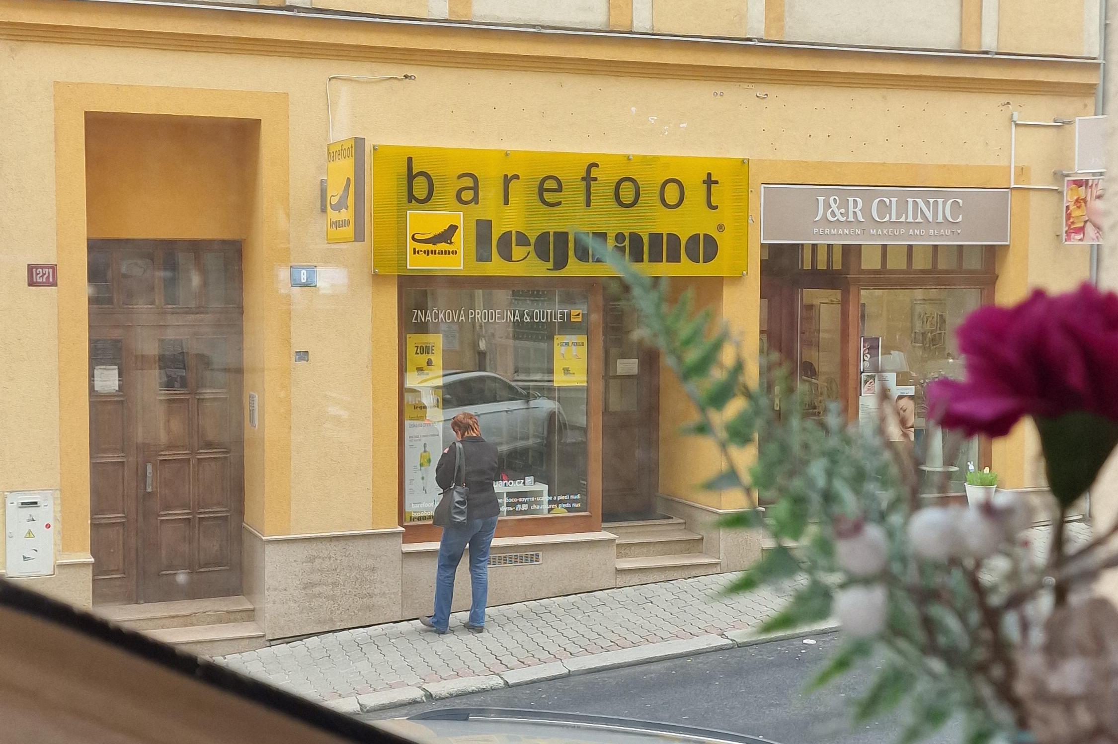 Barefoot leguano