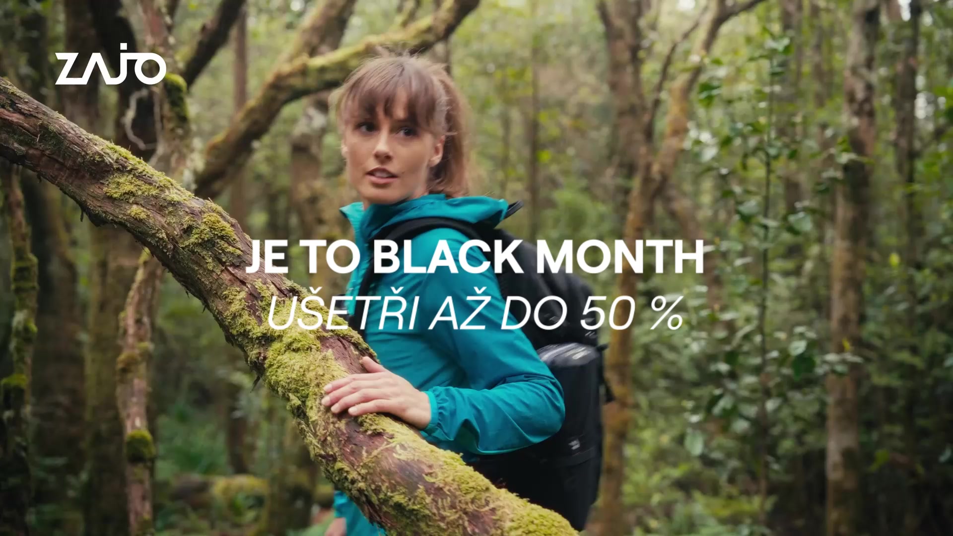 ZAJO foto 2 (náhled videa)