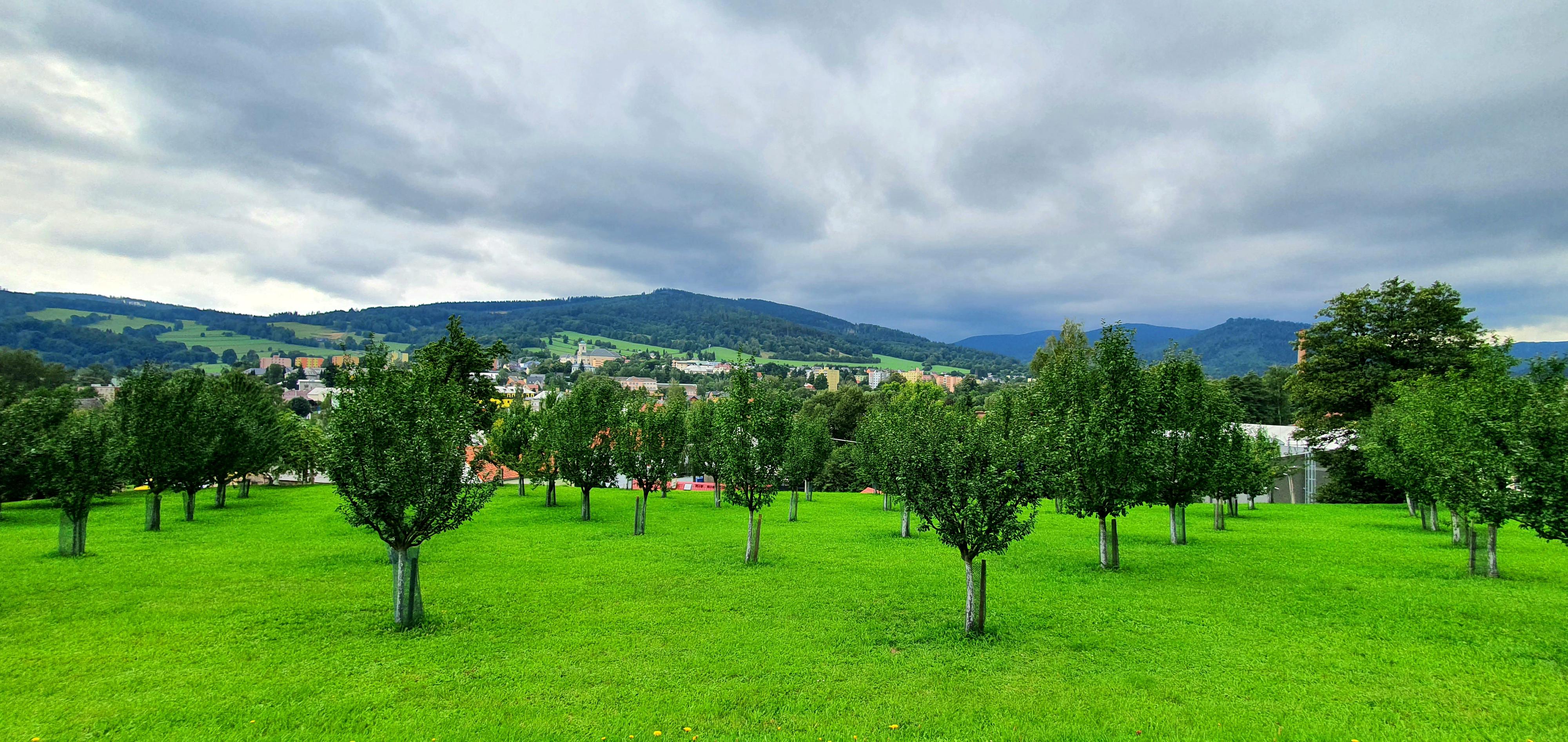 Penzion Stavař foto 4