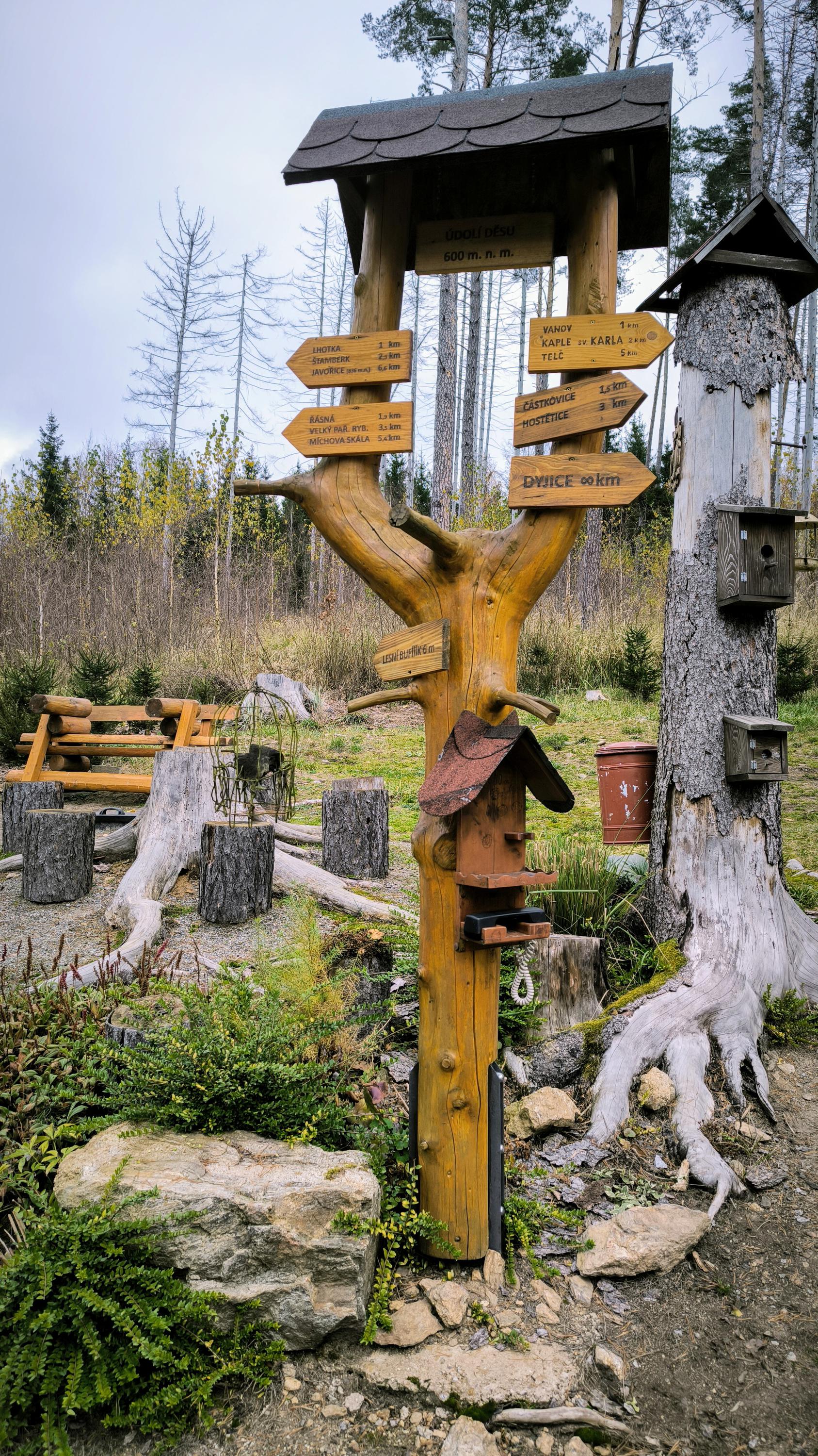 Lesní bufík foto 3