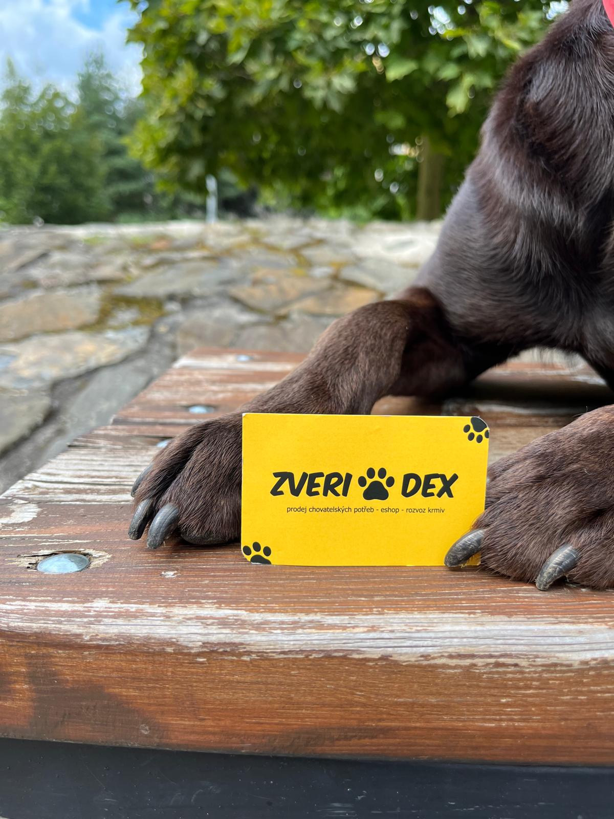 ZveriDex foto 4