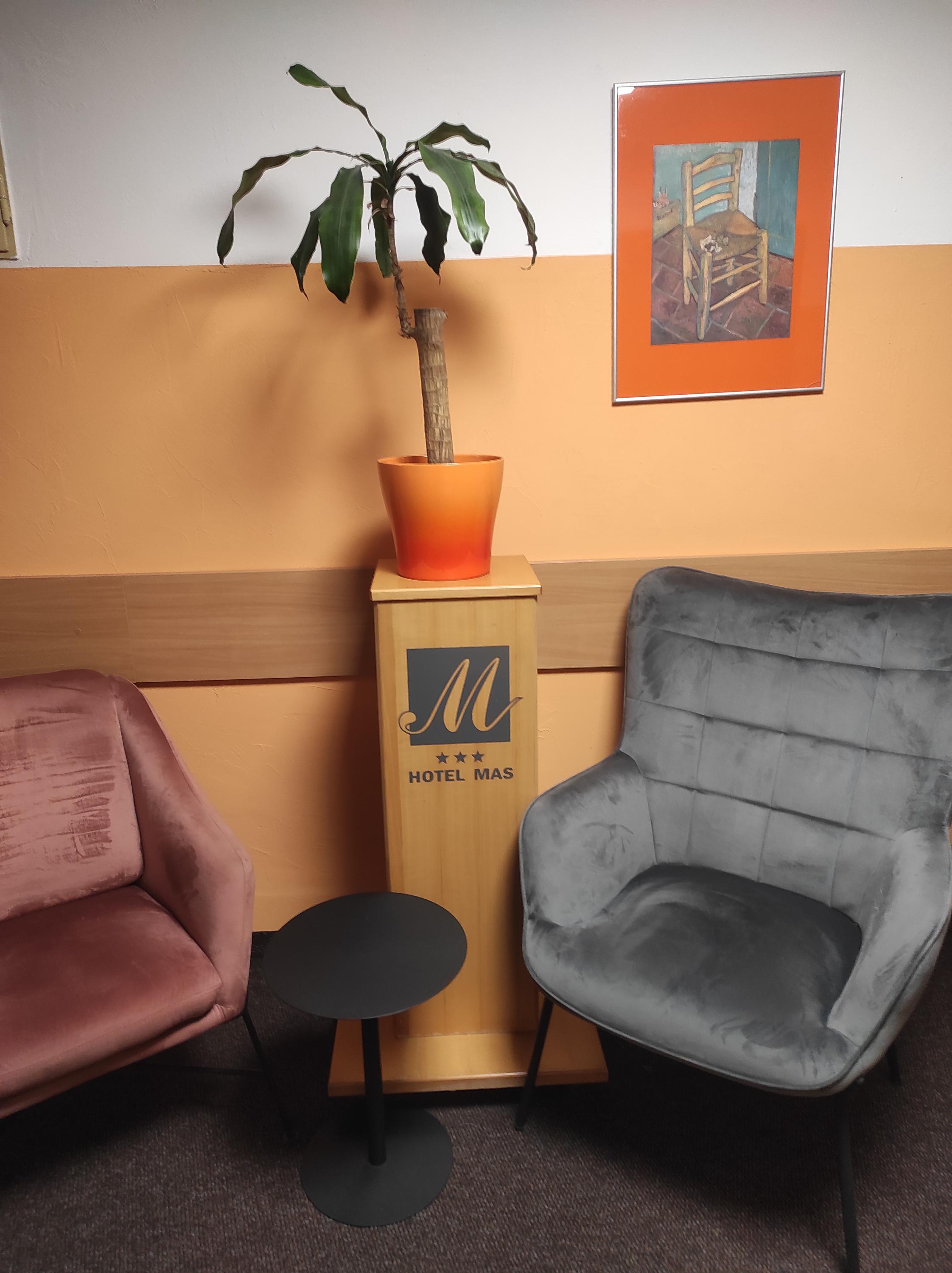 Wellness hotel MAS foto 6