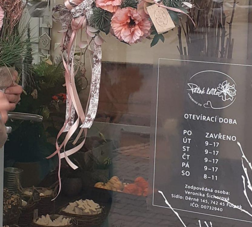 Pěkné kvítko foto 3