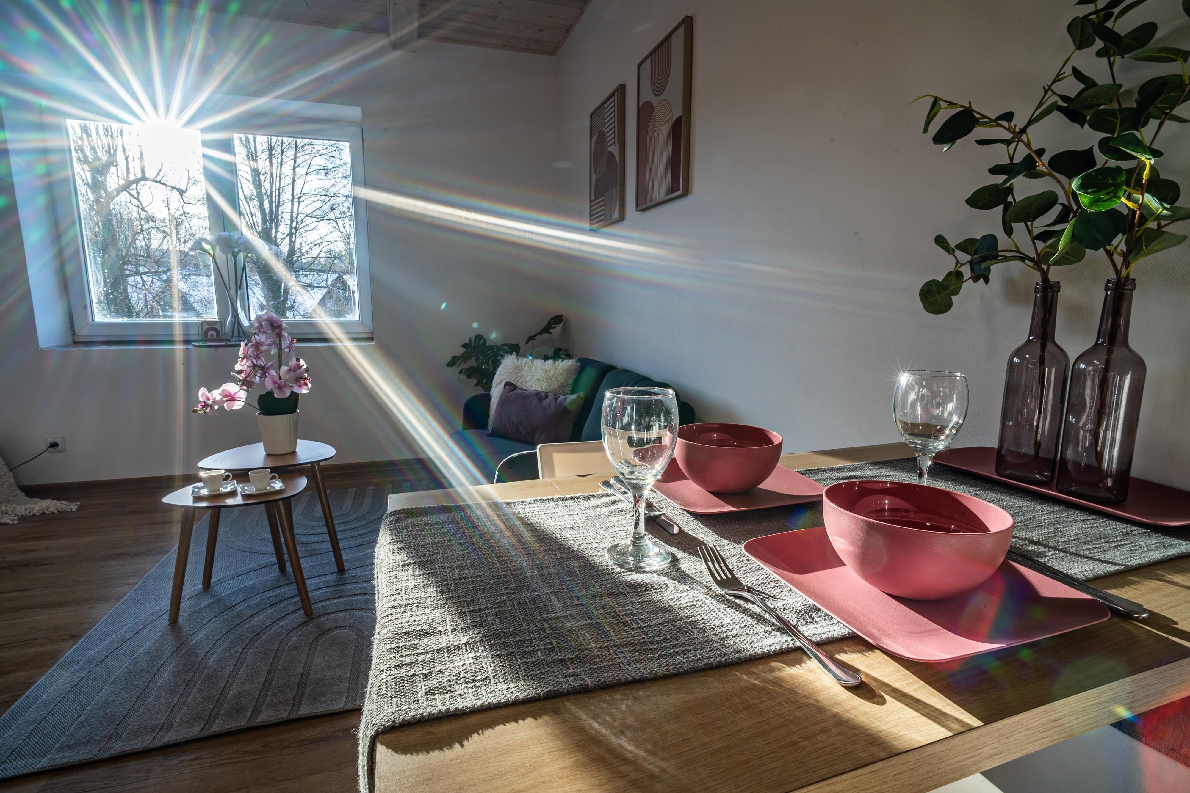 Špaček a partneři