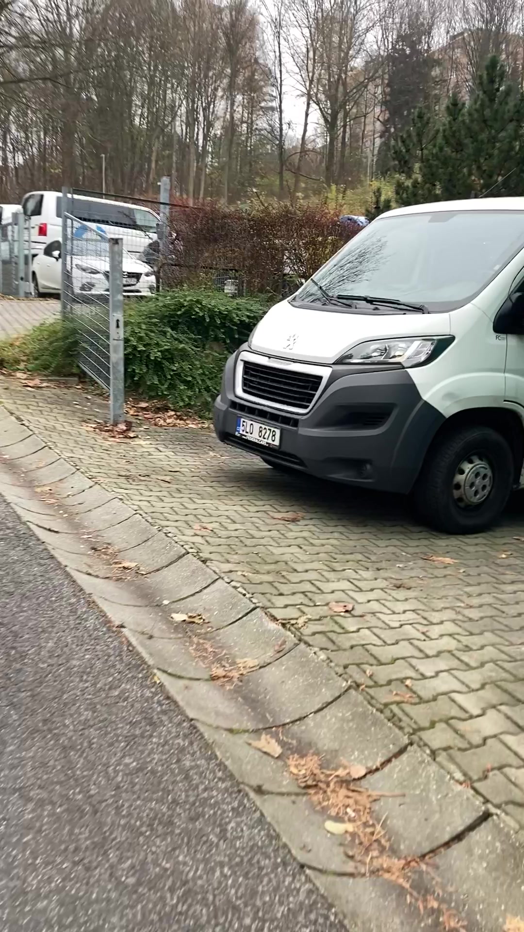 Umělecké kovářství a zámečnictví Šlajs foto 2 (náhled videa)