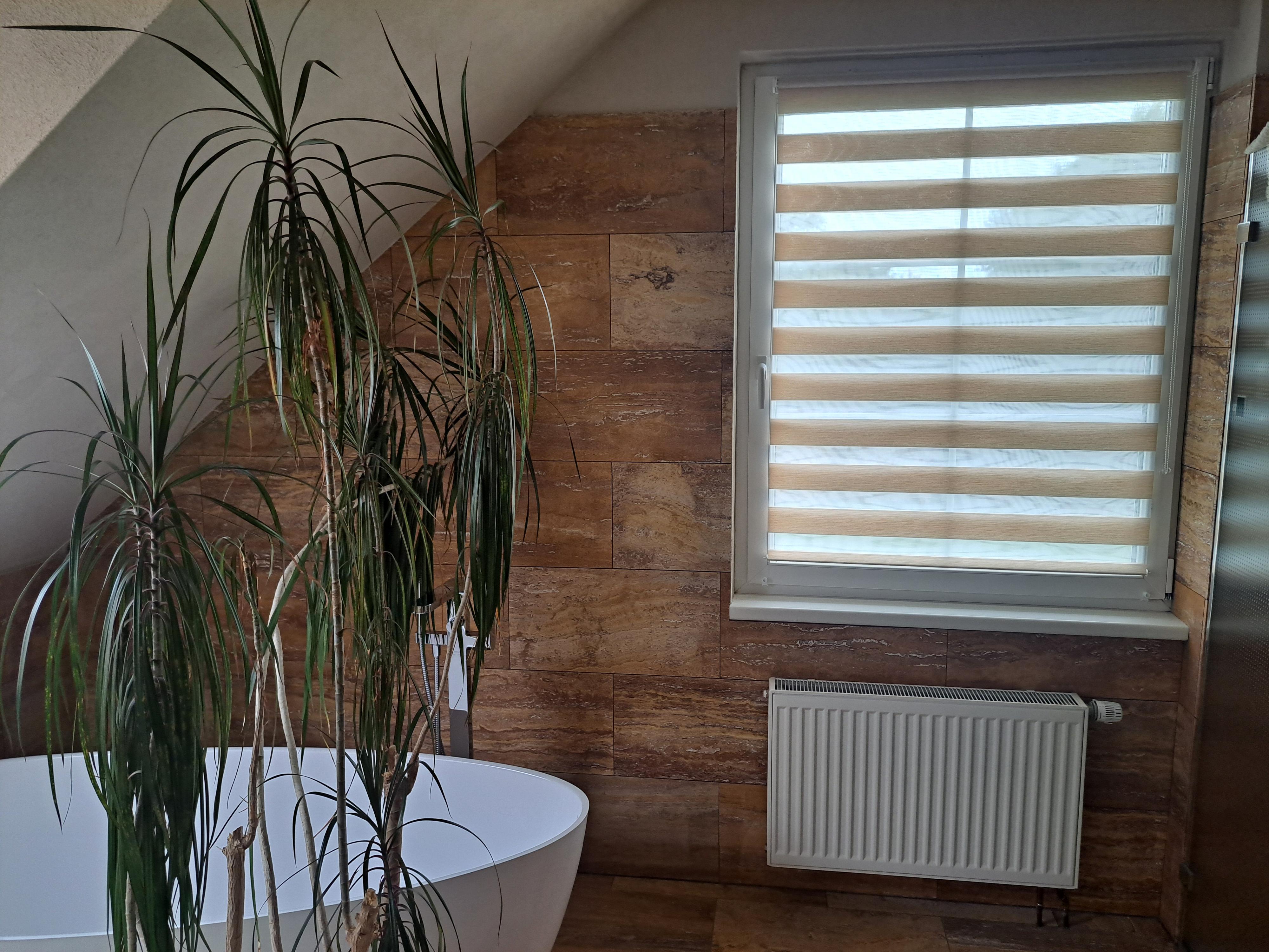 Salix Corporation - SeřiďOKNO foto 4