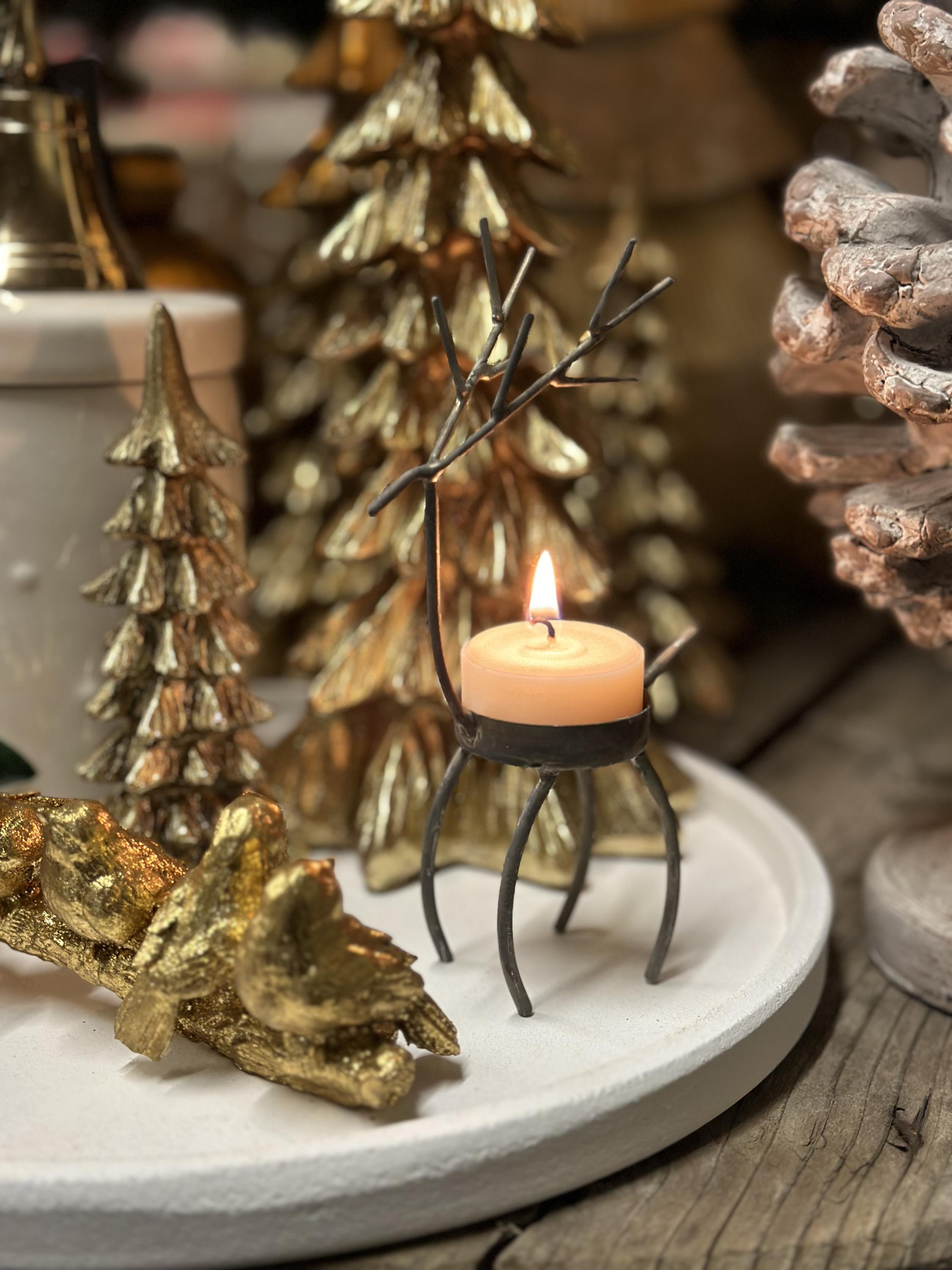 Jan Diviš Zahradnictví