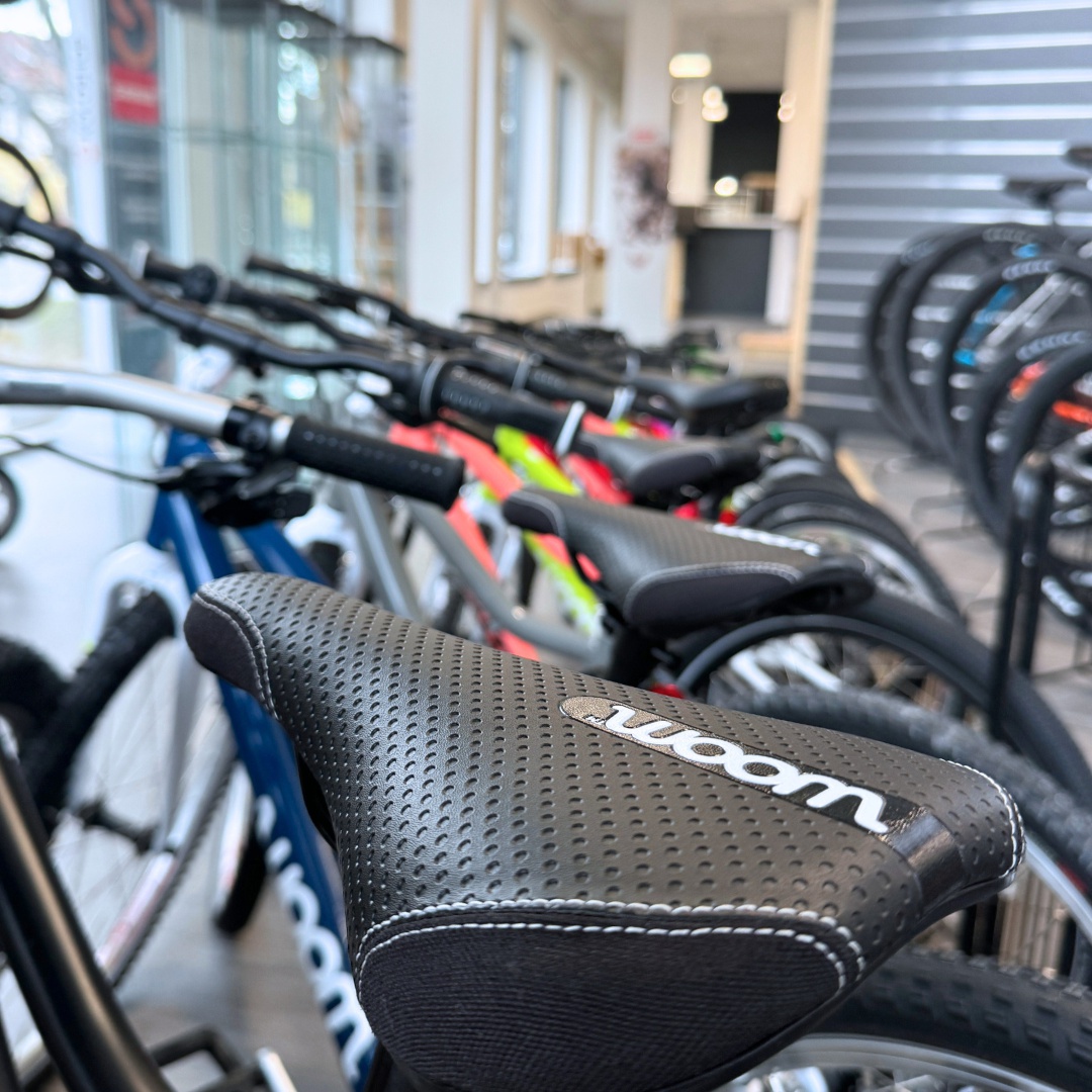 KOLOSHOP.cz foto 6