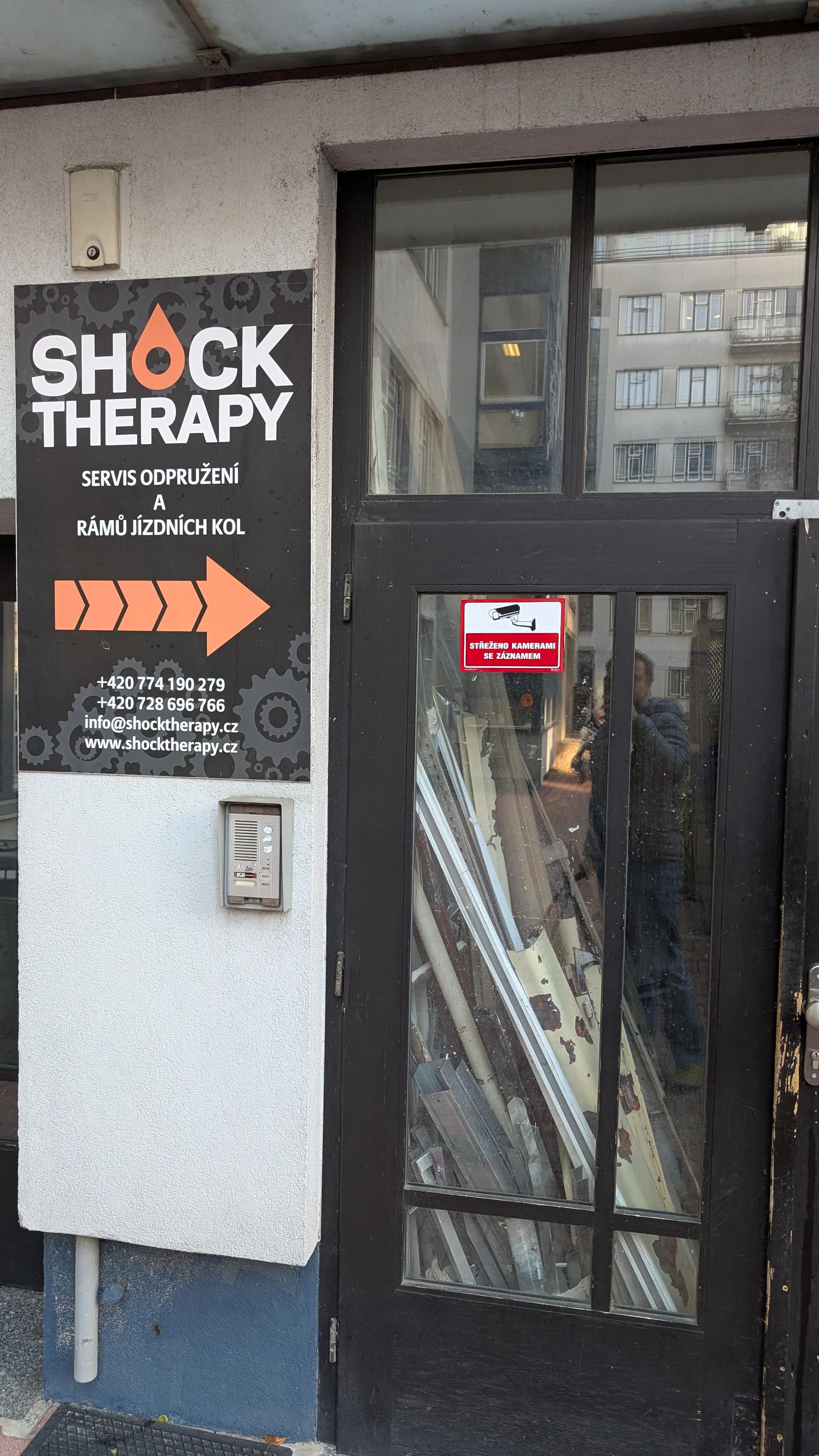 Shock Therapy foto 2