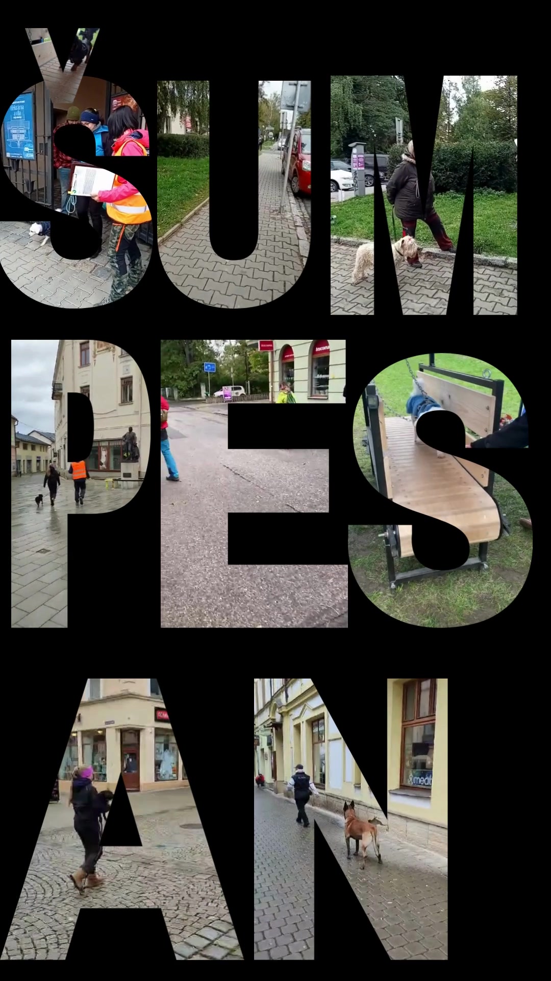 Škola výcviku psů K+K Houda foto 2 (náhled videa)