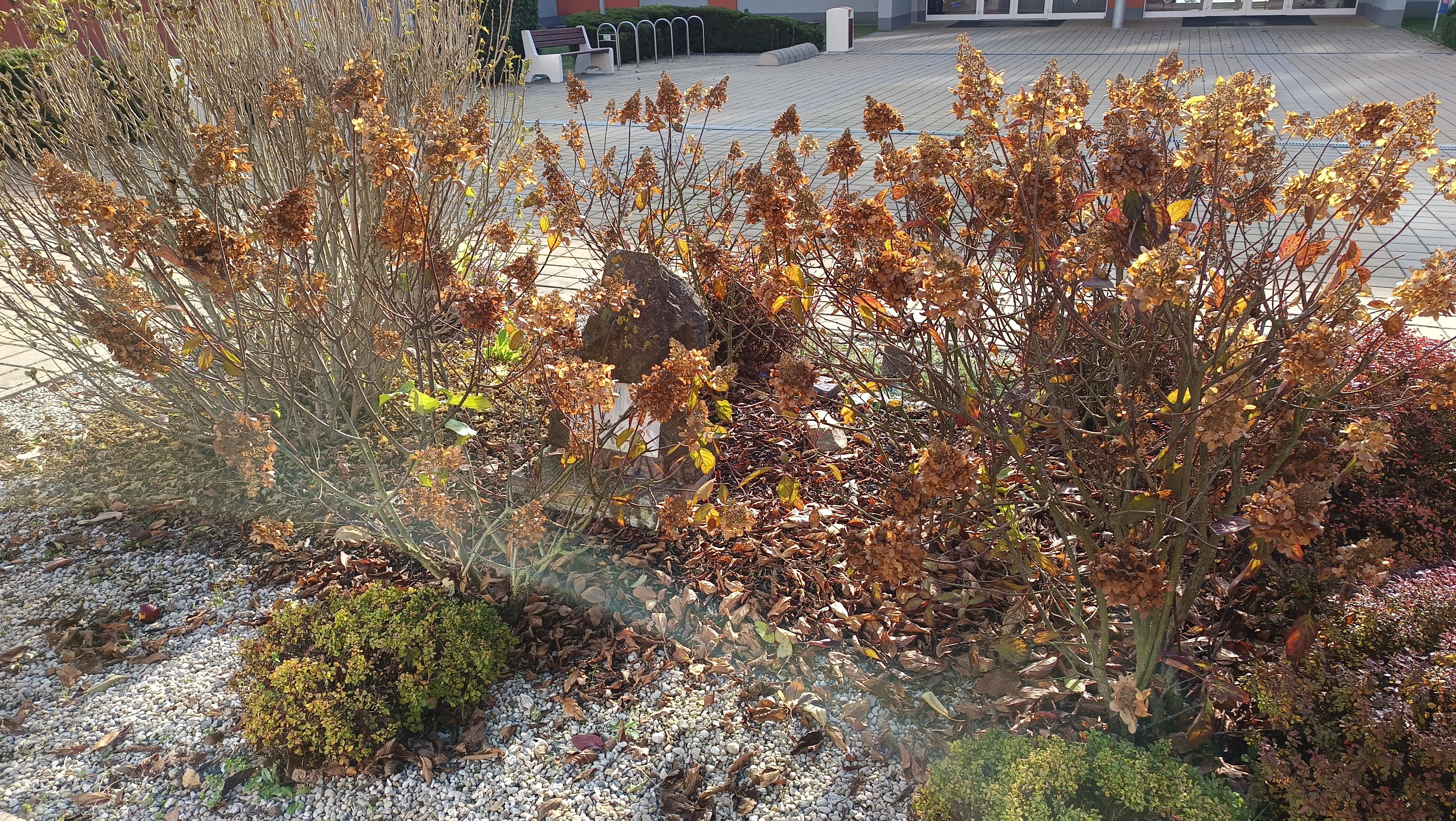 3. ZŠ u Říčanského lesa Říčany foto 5