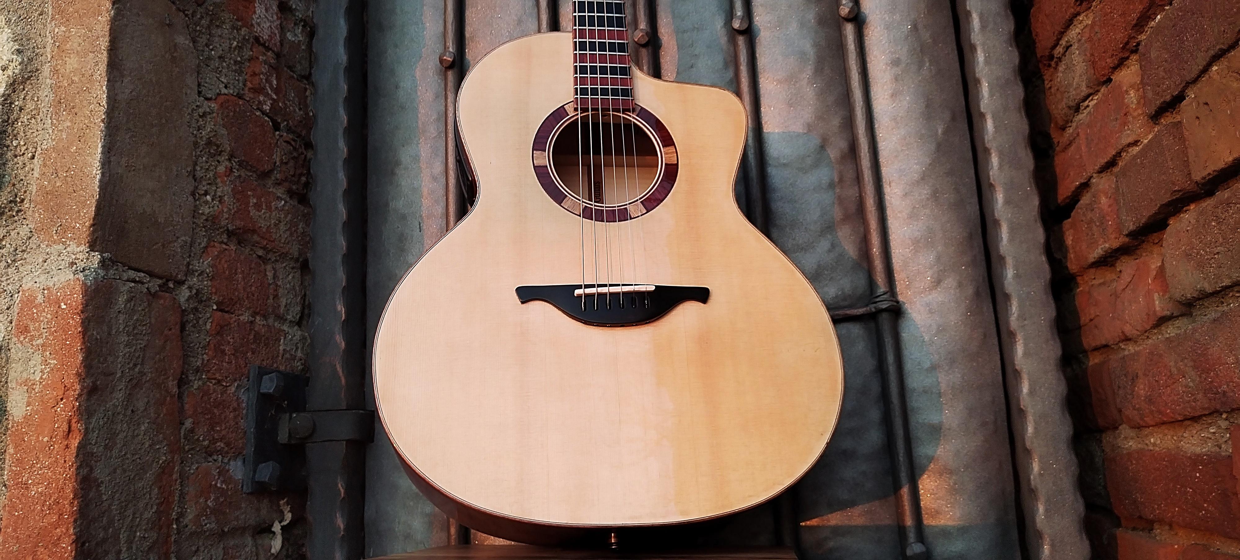 Fröhlich guitars foto 5