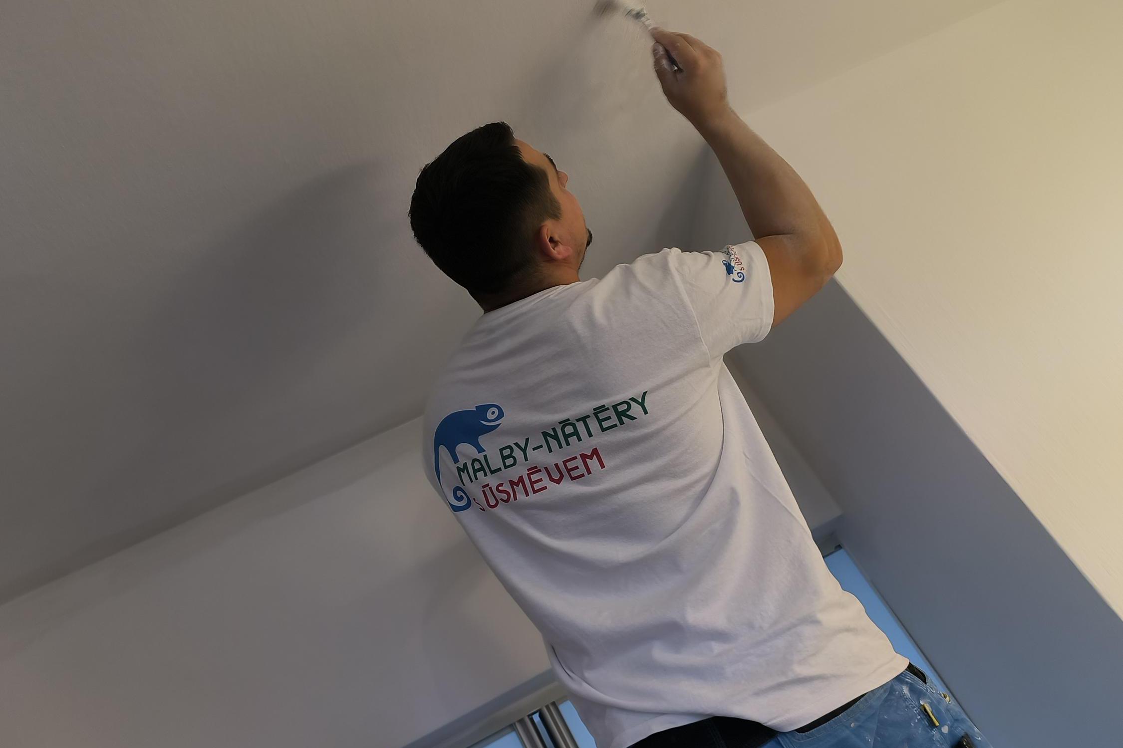 Malby-nátěry s úsměvem - Marek Redlich