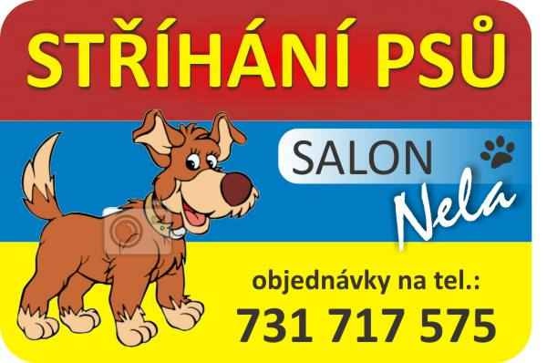 Psí salon NELA foto 5