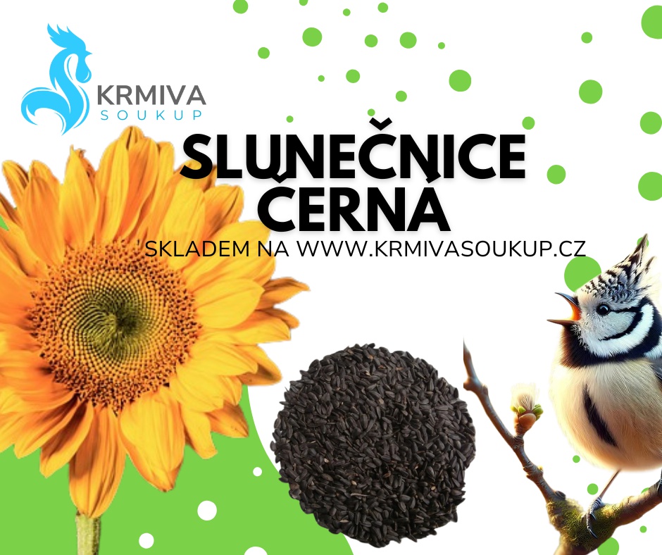 Krmiva Soukup foto 5