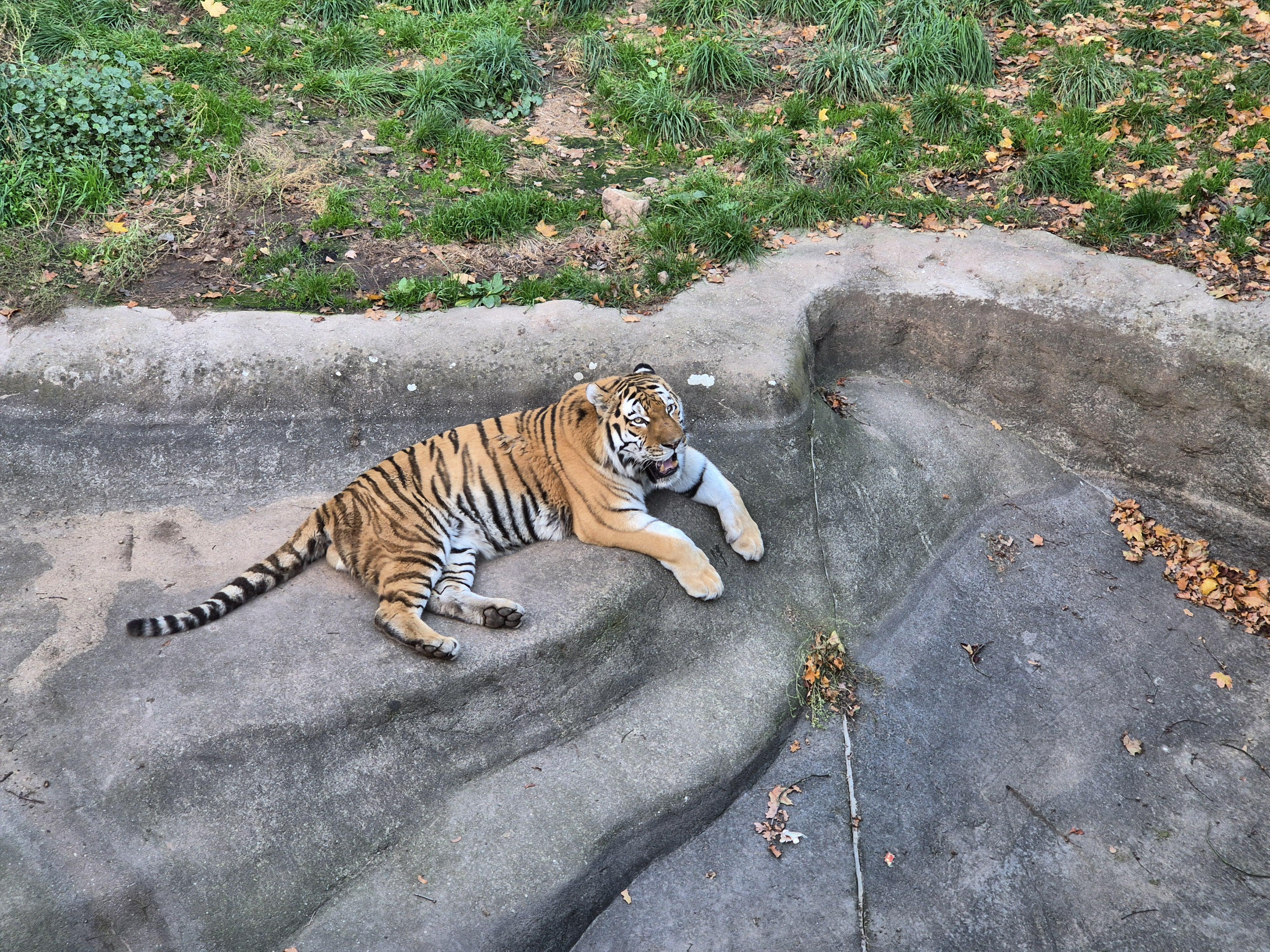 Zoo Plzeň foto 5