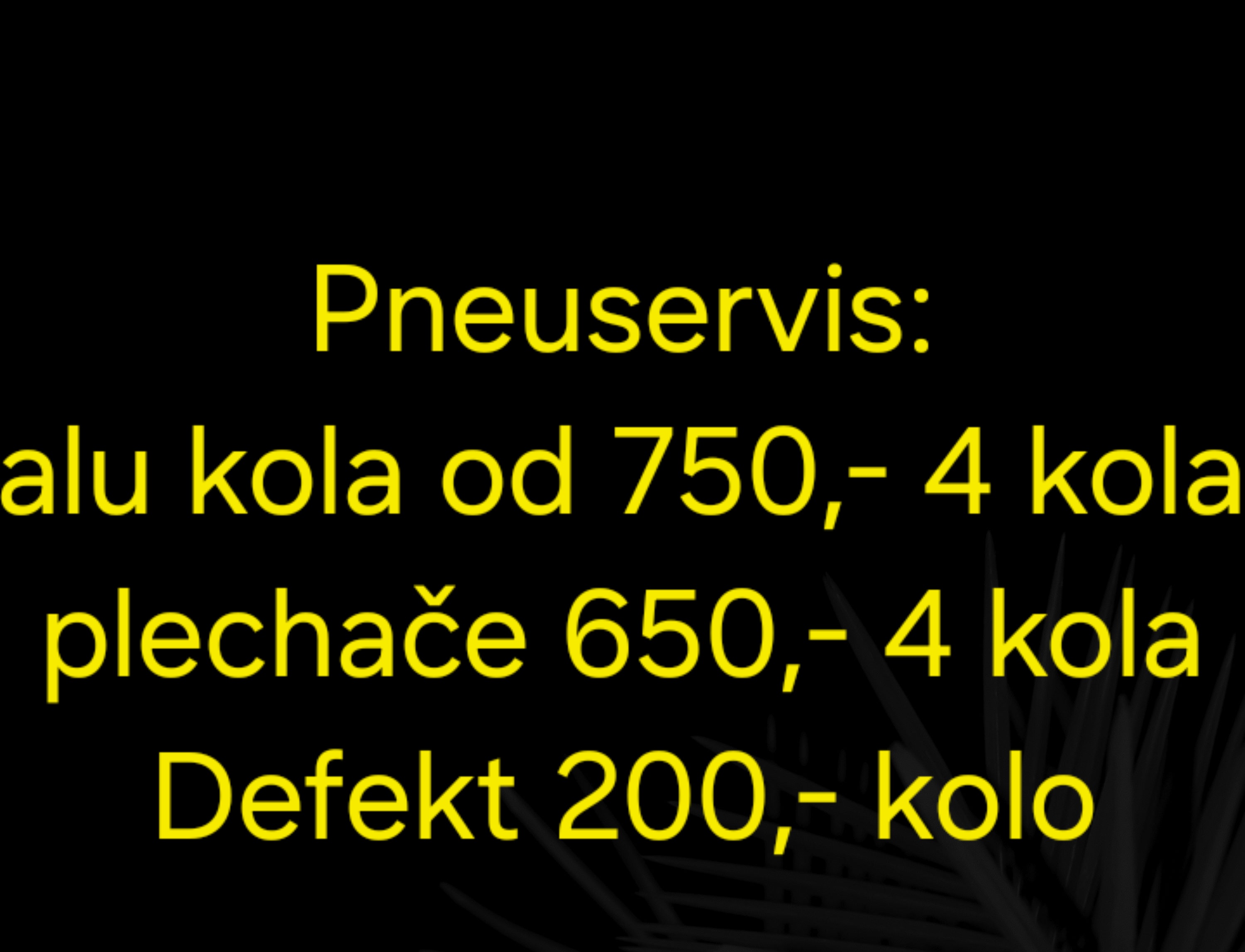 Pneuservis Luboš Novák foto 4