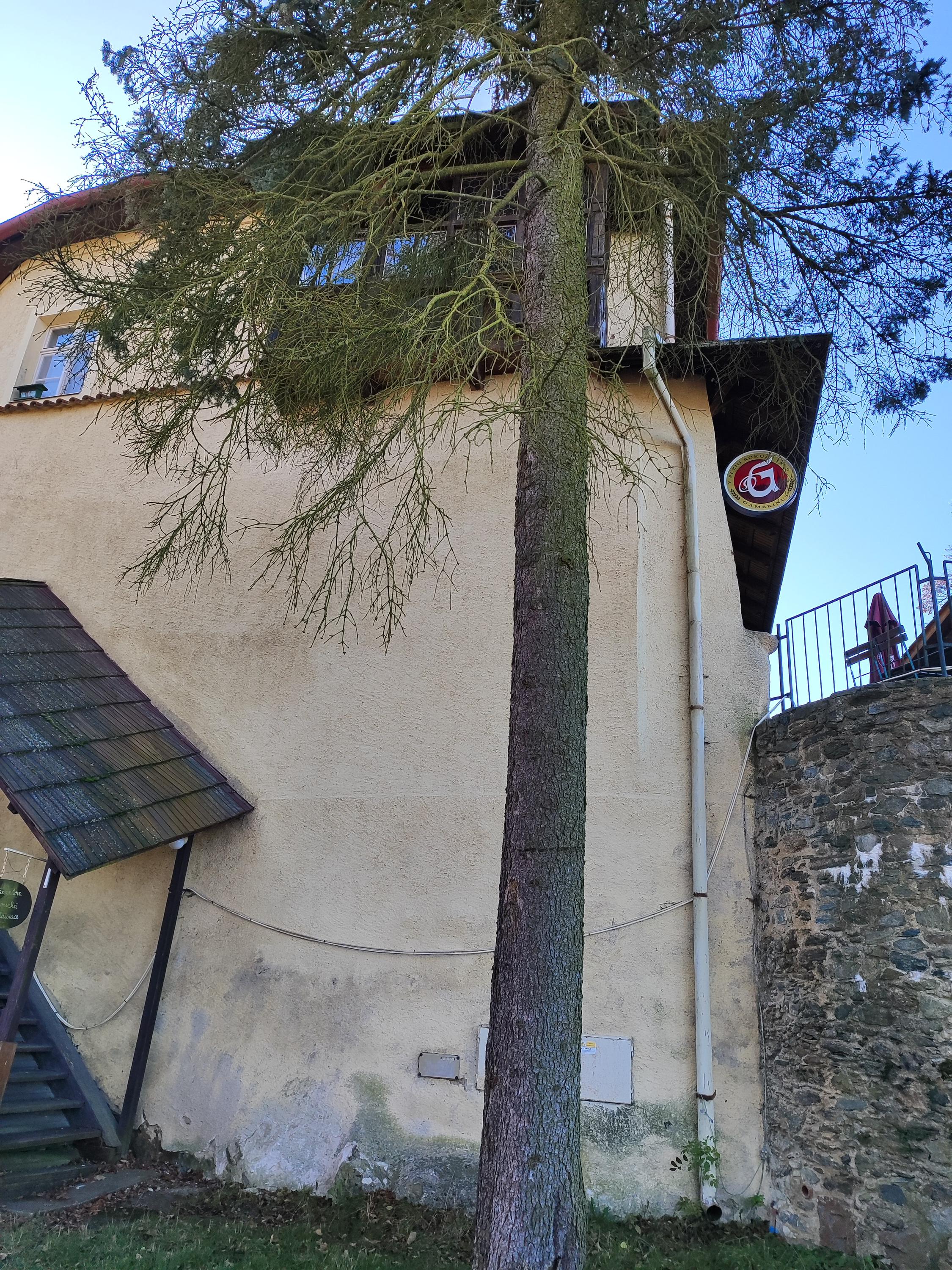 Harantova zámecká restaurace na Klenové foto 4