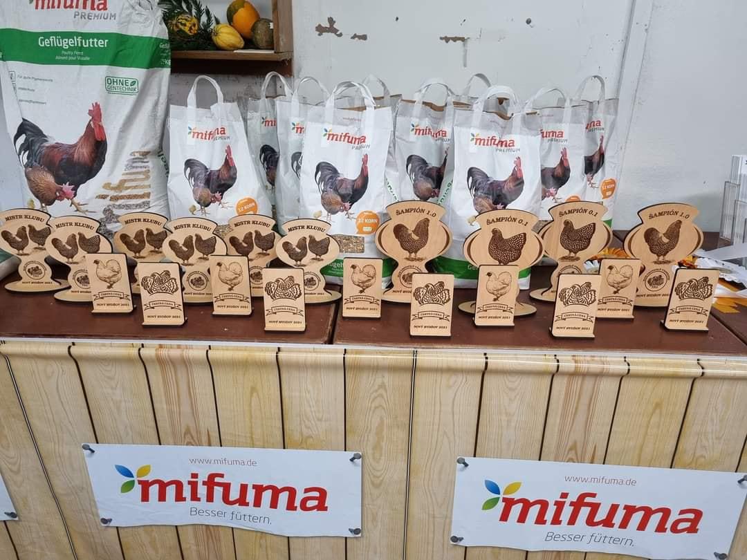 Klub chovatelů drůbeže vyandotek, z.s. foto 3