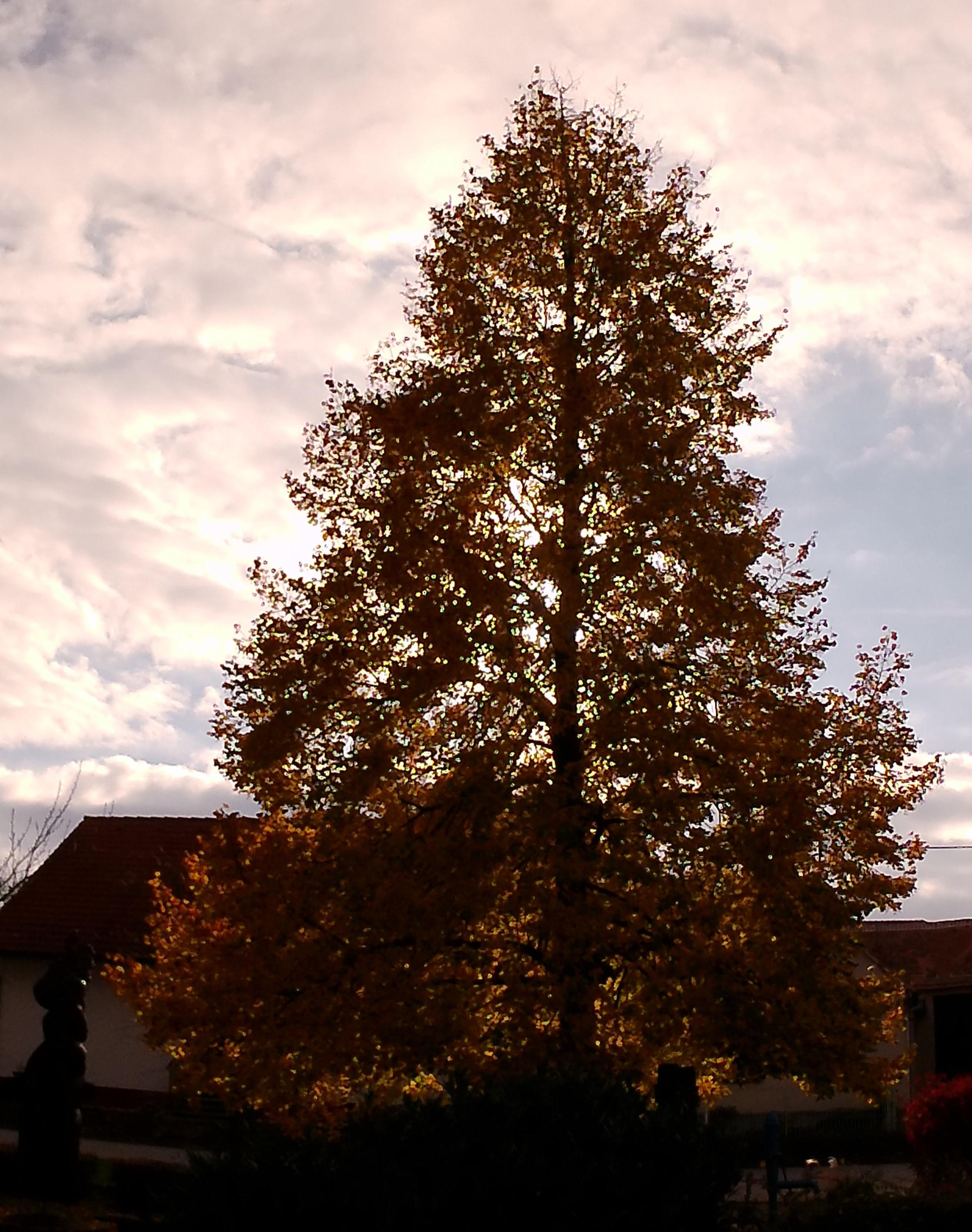 Třebelovice - obecní úřad foto 4