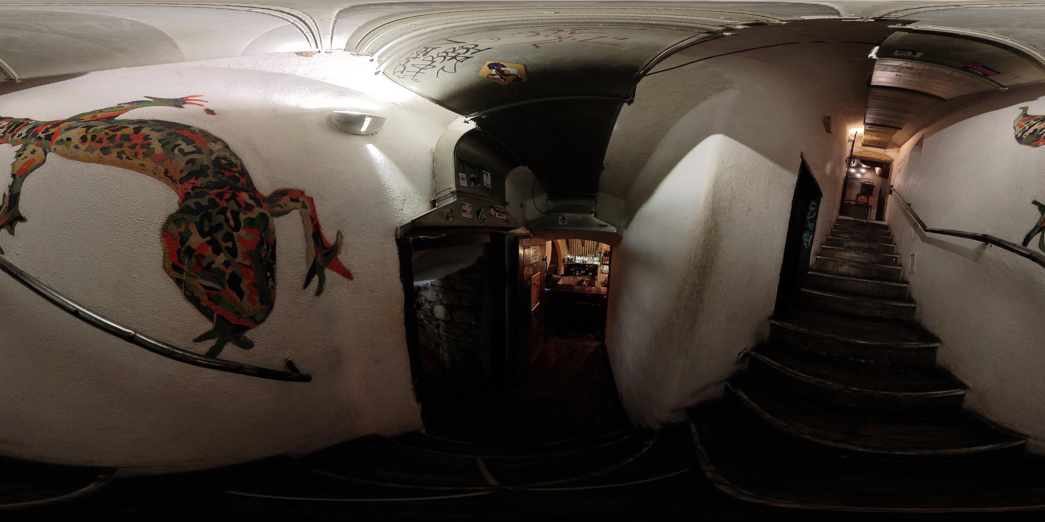 Nevinný bar Gecko foto 3