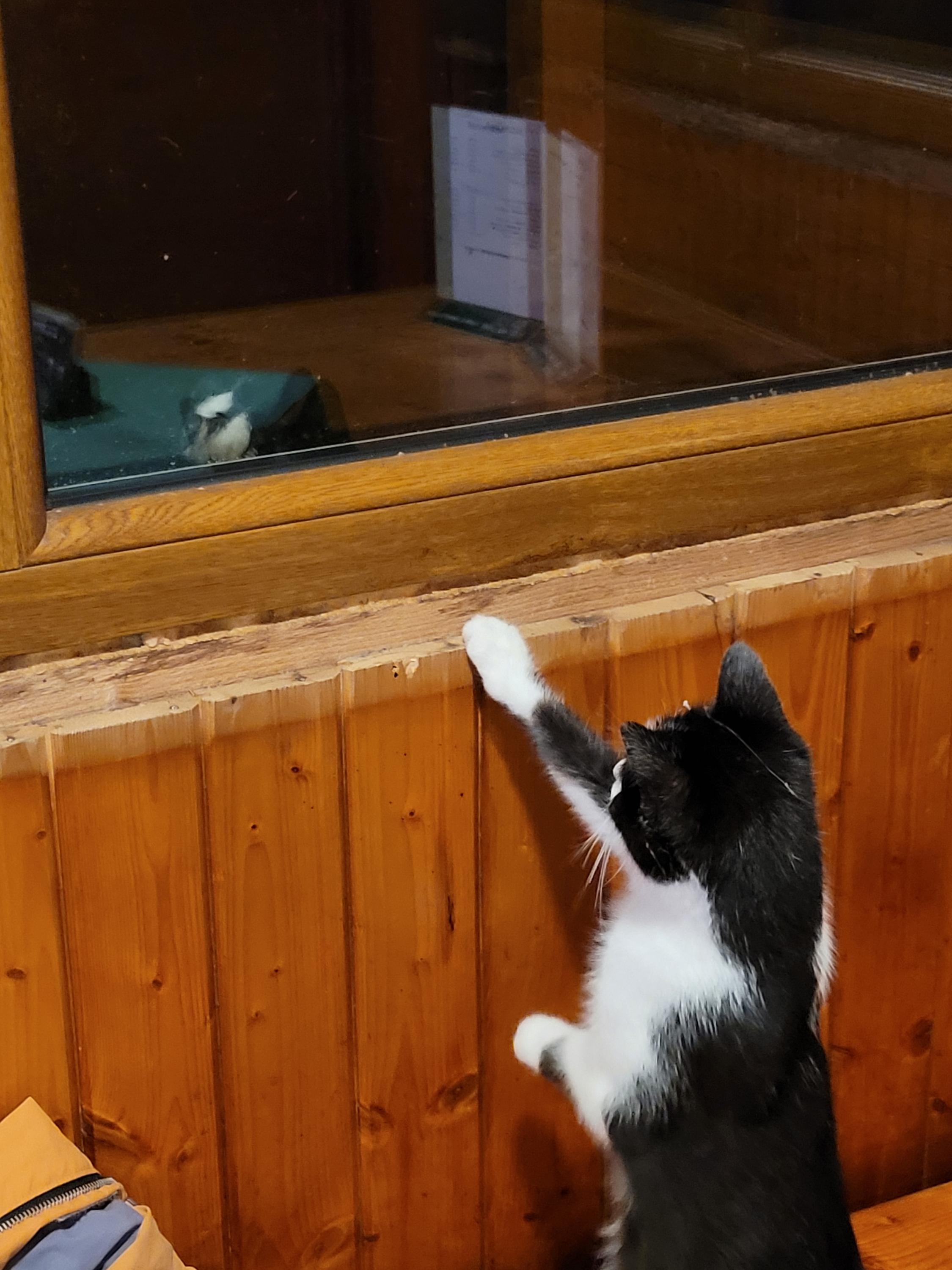 Hospůdka u Sosáka foto 6