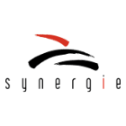 Logo obchodu Synergiepublishing.com