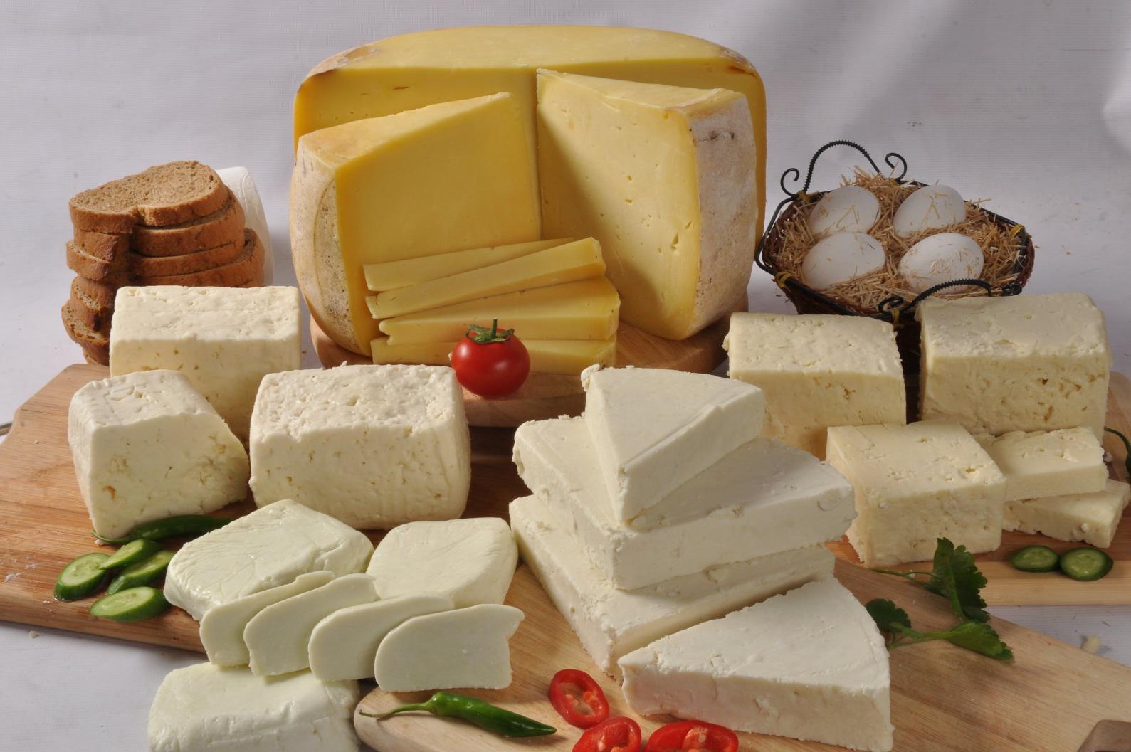 Magdala Foods s.r.o.