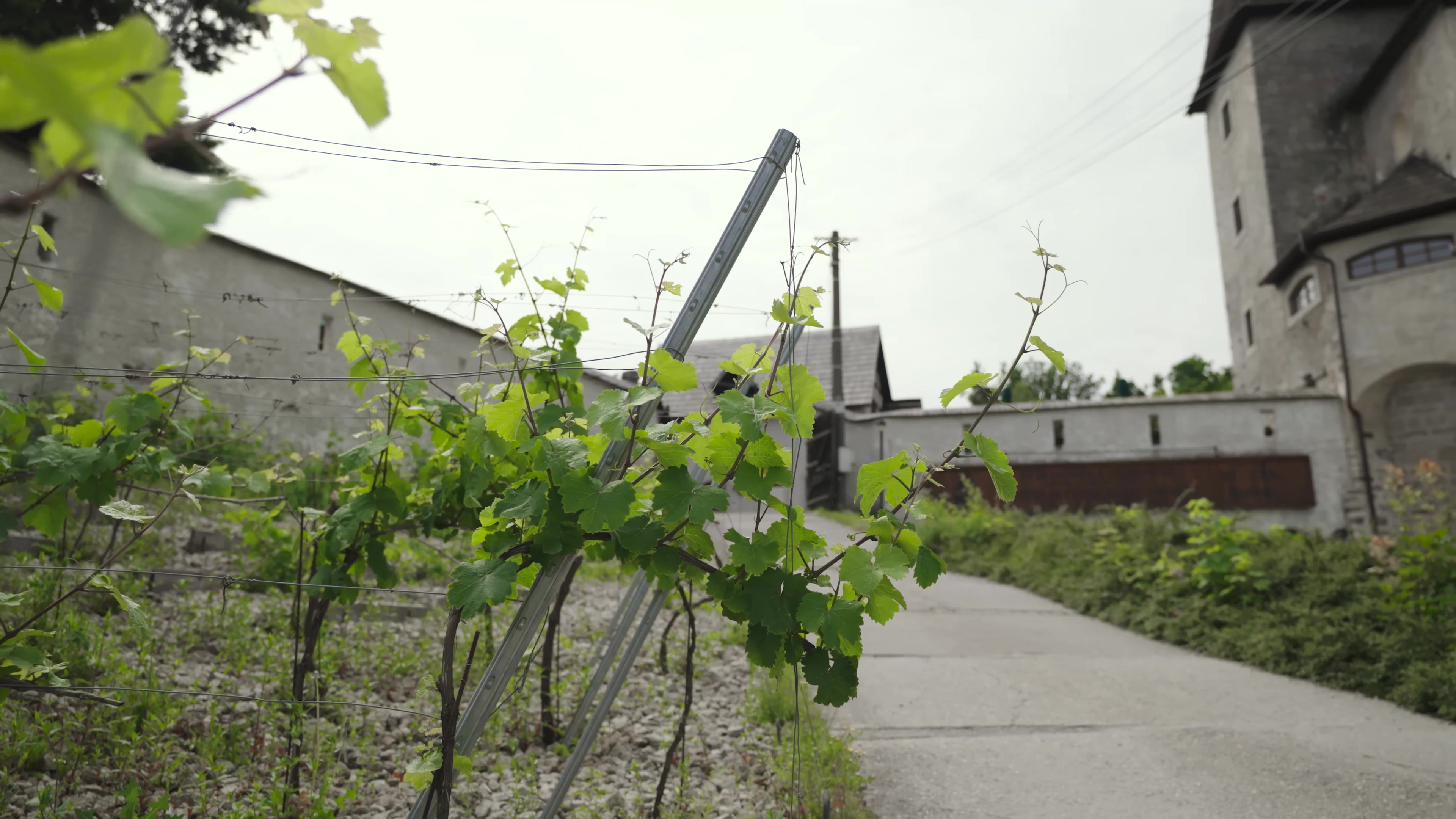 Ubytování na hradě Vildštejn foto 2 (náhled videa)