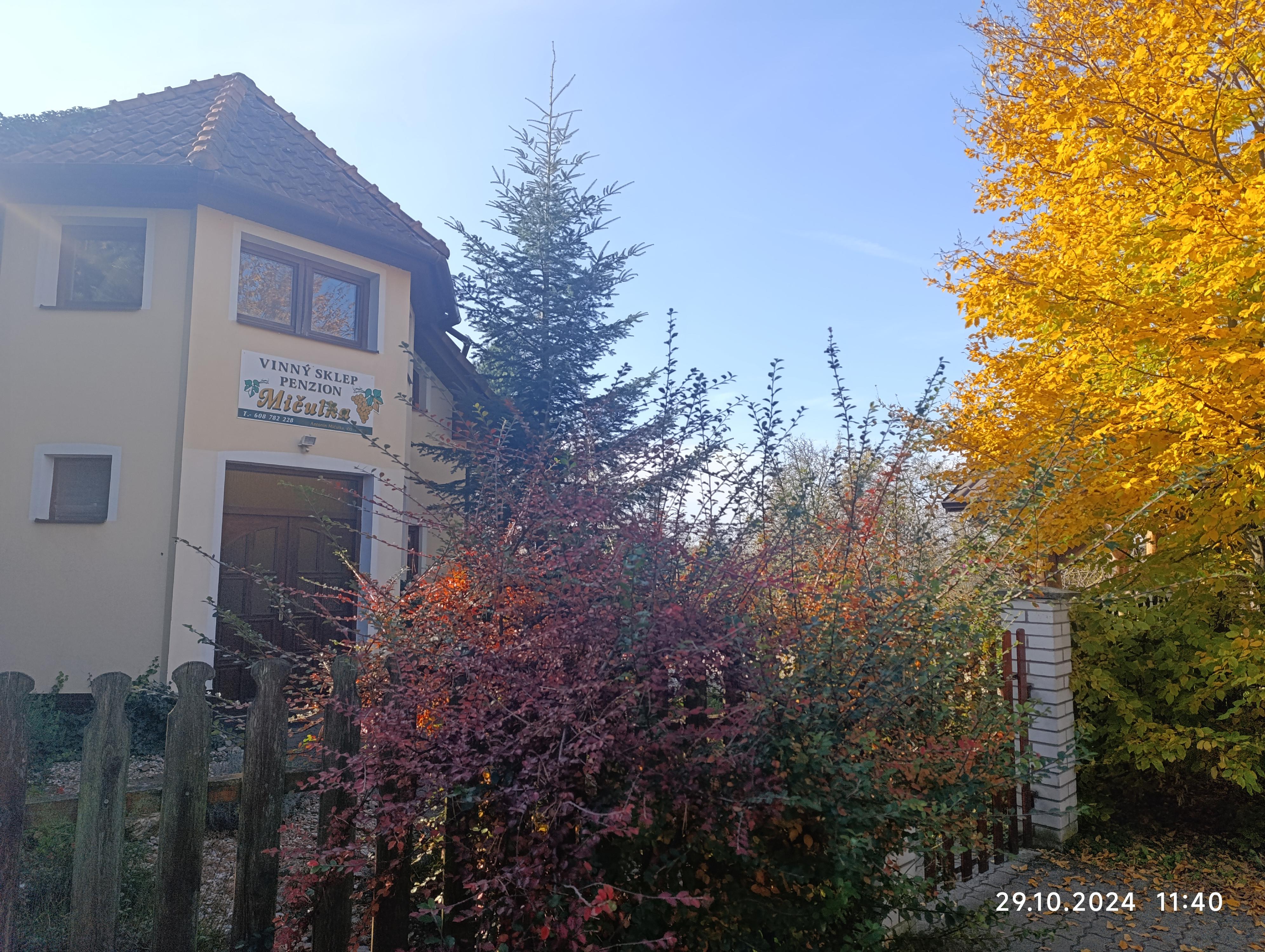 Vinný sklep - Penzion Mičulka foto 2