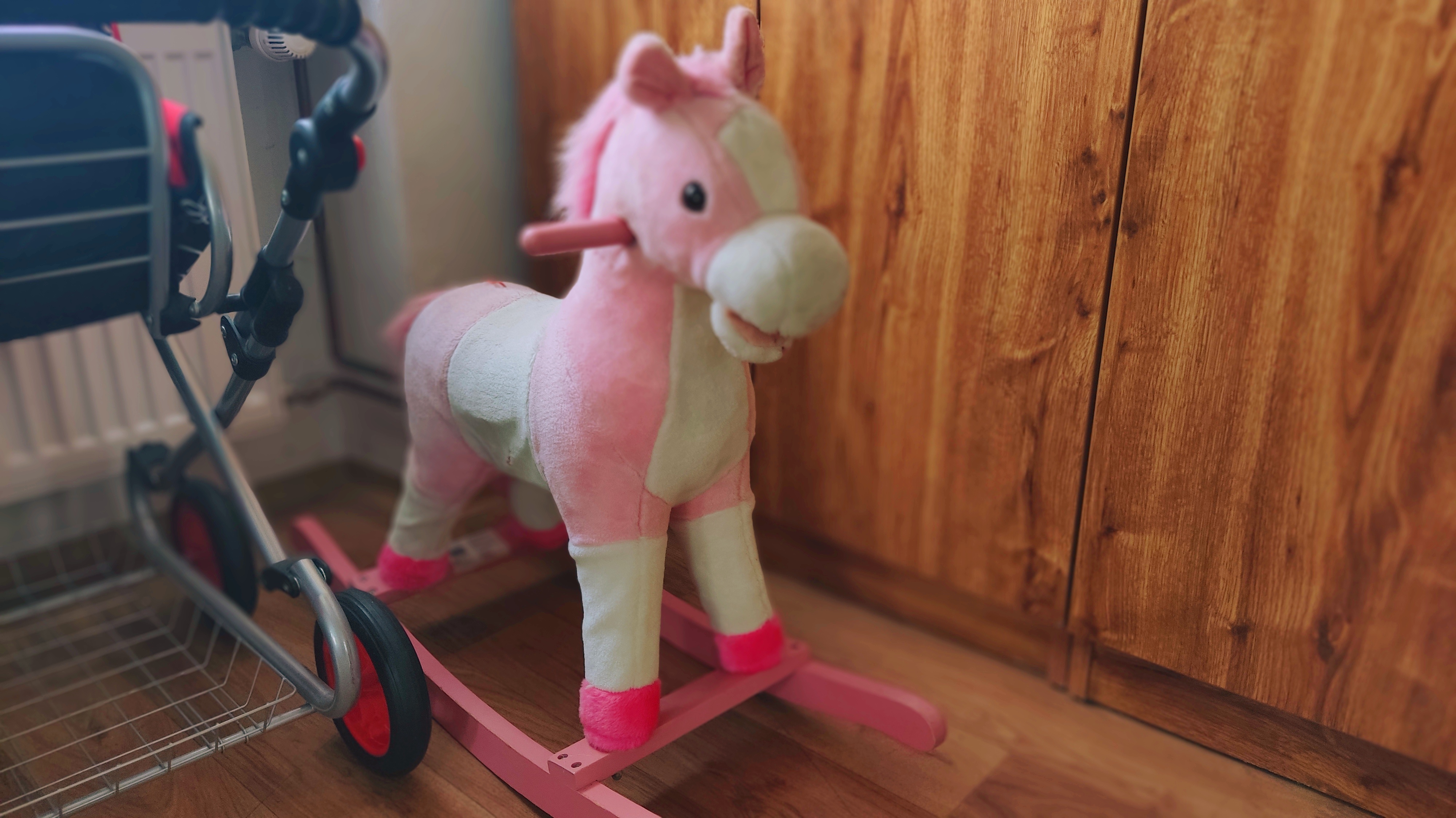 Charitní dům pro matky v tísni - Charita Český Těšín foto 6