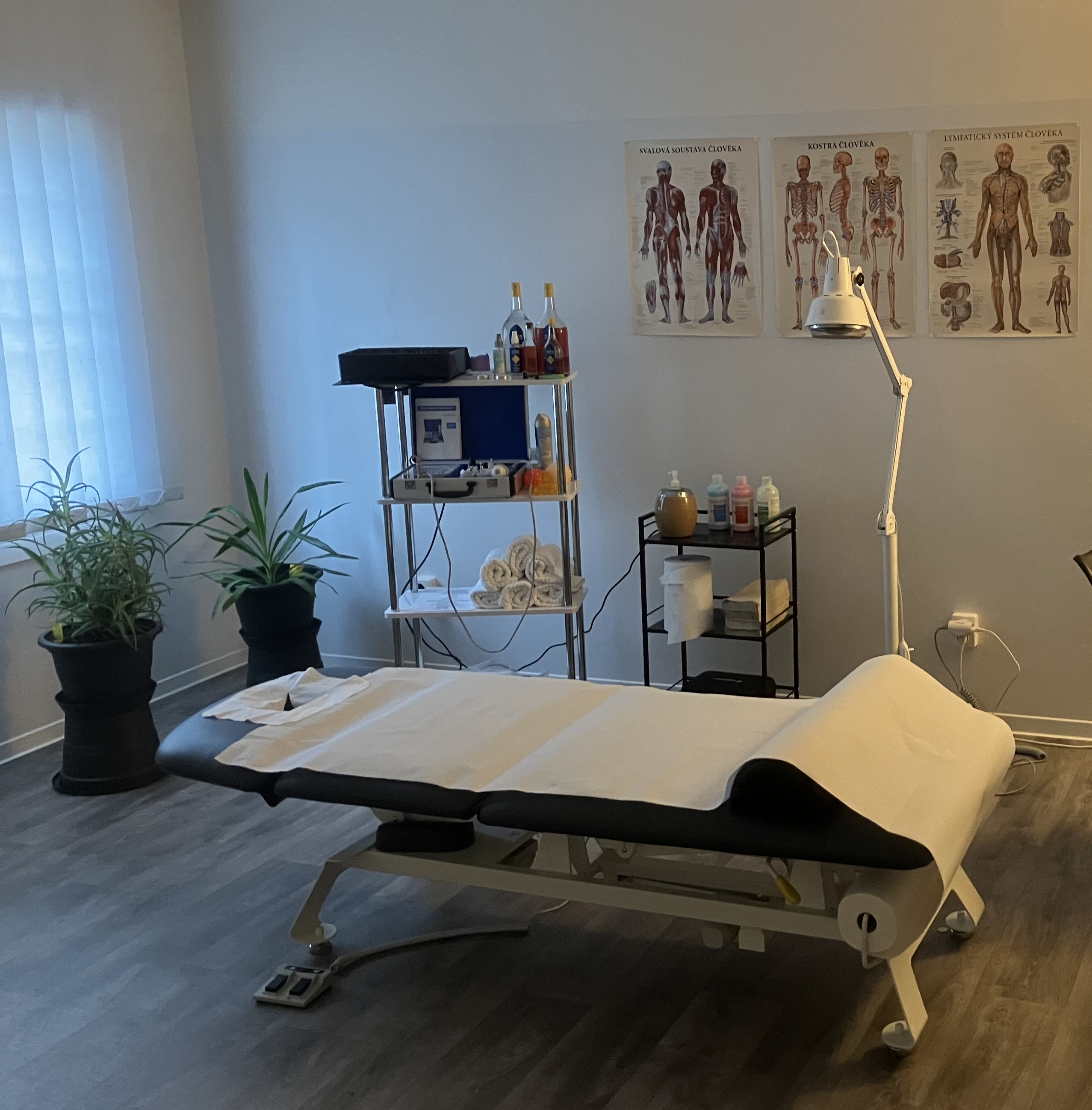 Masáže Plzeň a SM systém - Daniel Dietl foto 2