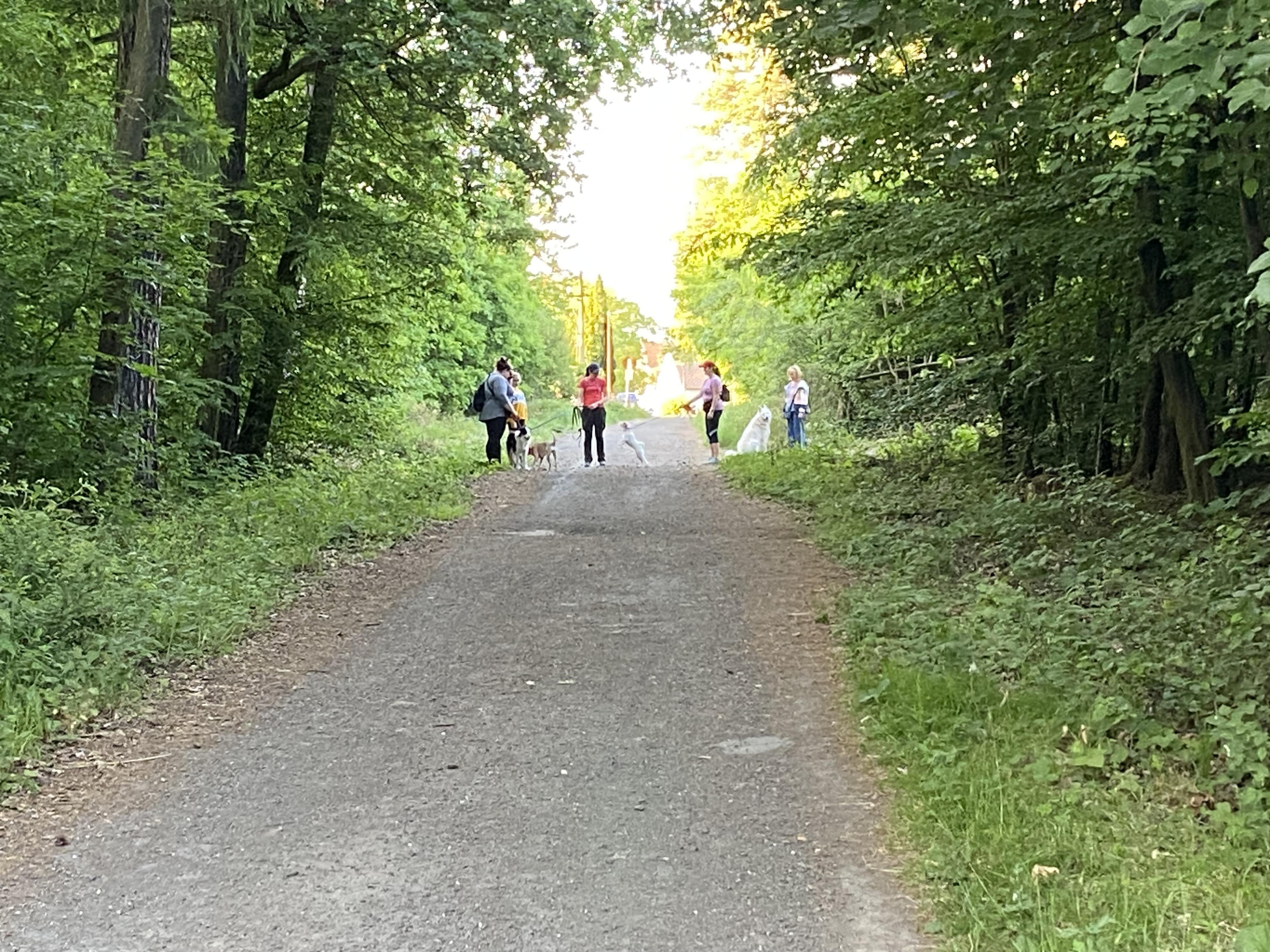 Výchova psů Evgeniya Karlova foto 5