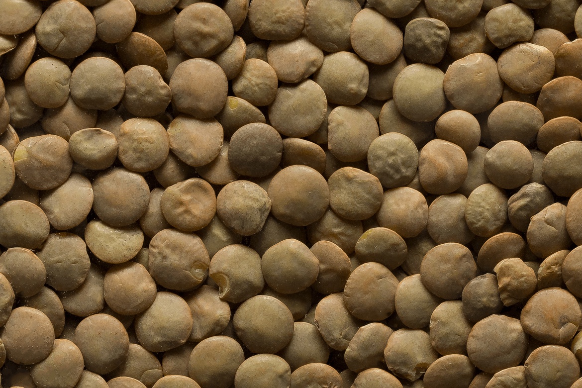 AGRIWELL s.r.o. foto 6