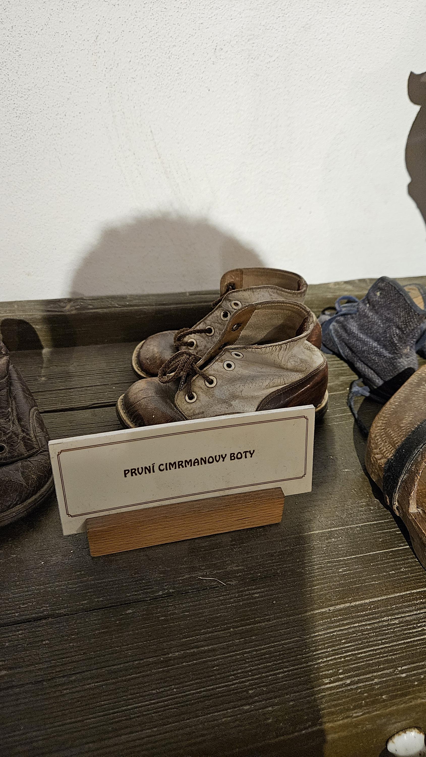 Muzeum Cimrmanovy doby foto 3