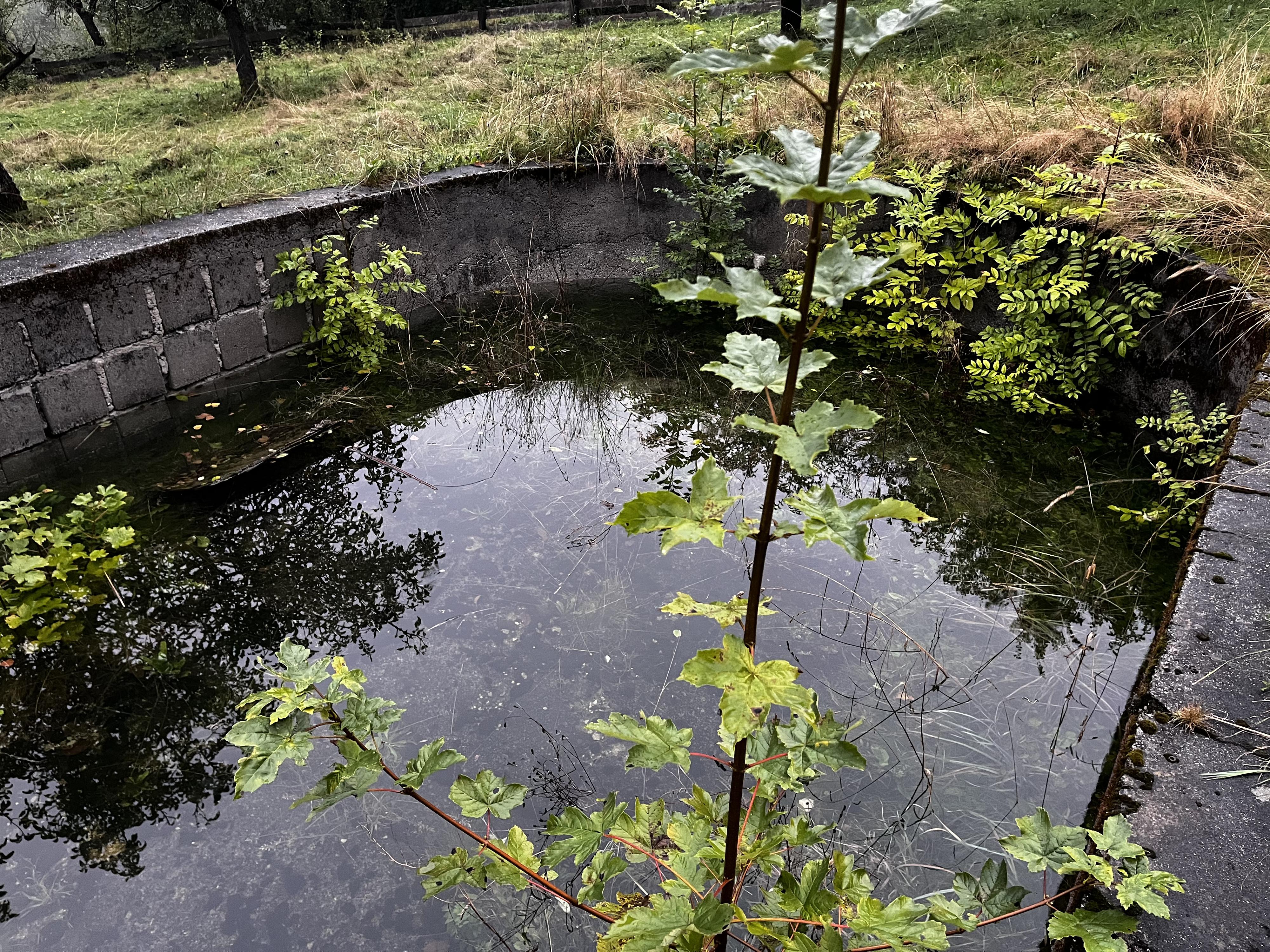 Penzion RENSHOF foto 3