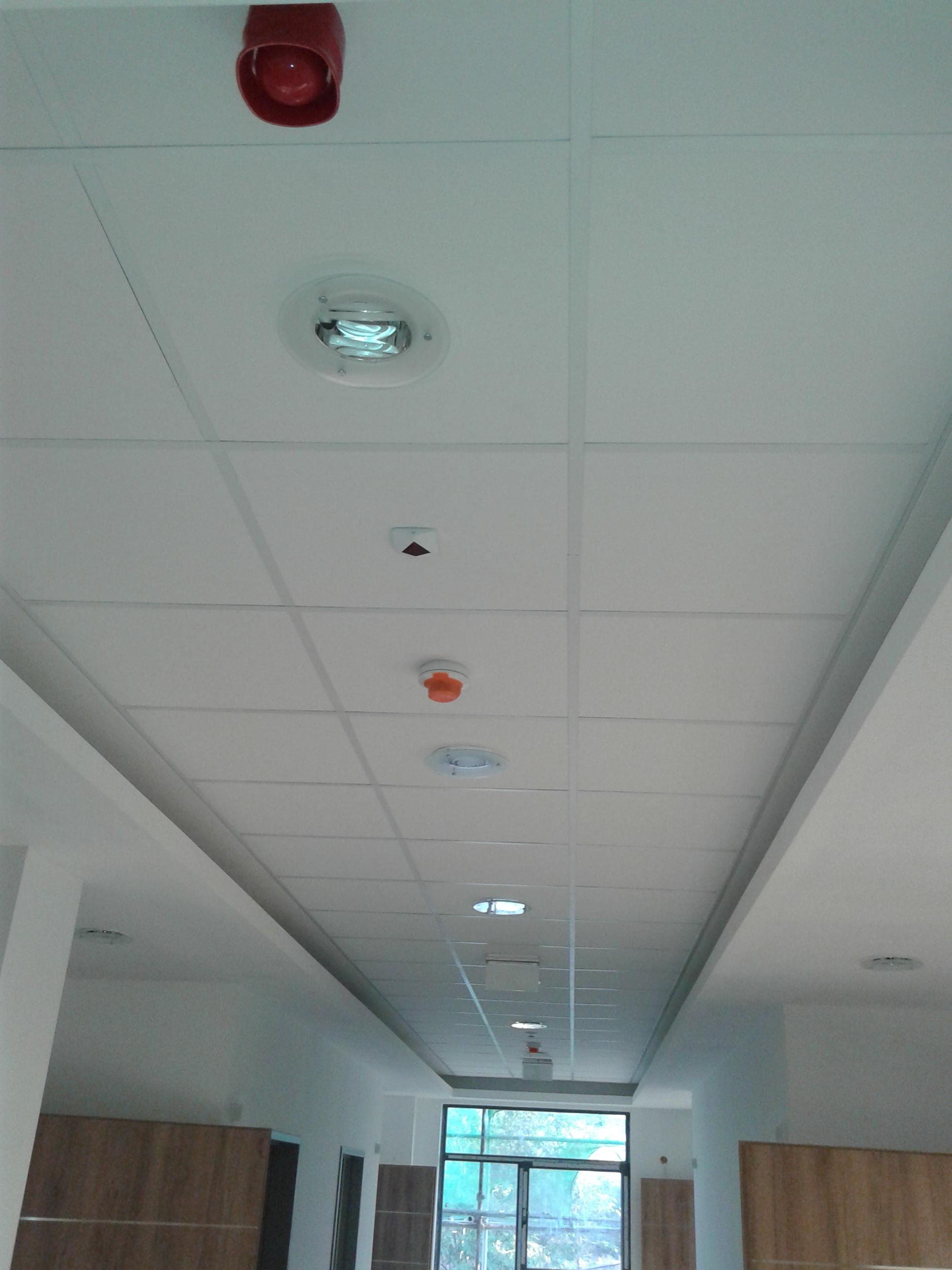 Miroslav Dičko foto 5