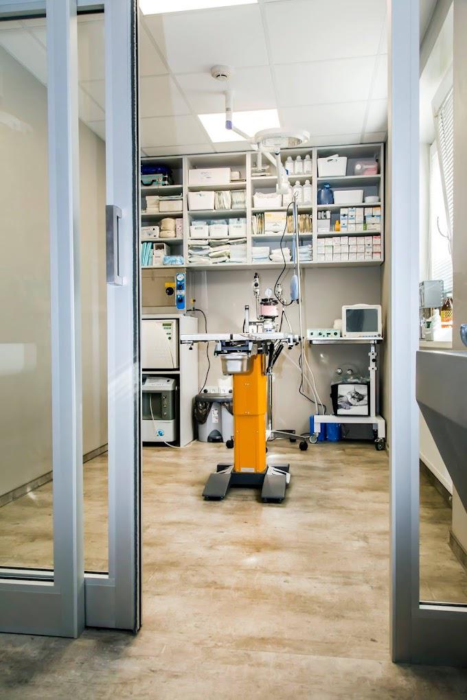 Veterinární klinika Vladislav, s.r.o. foto 6