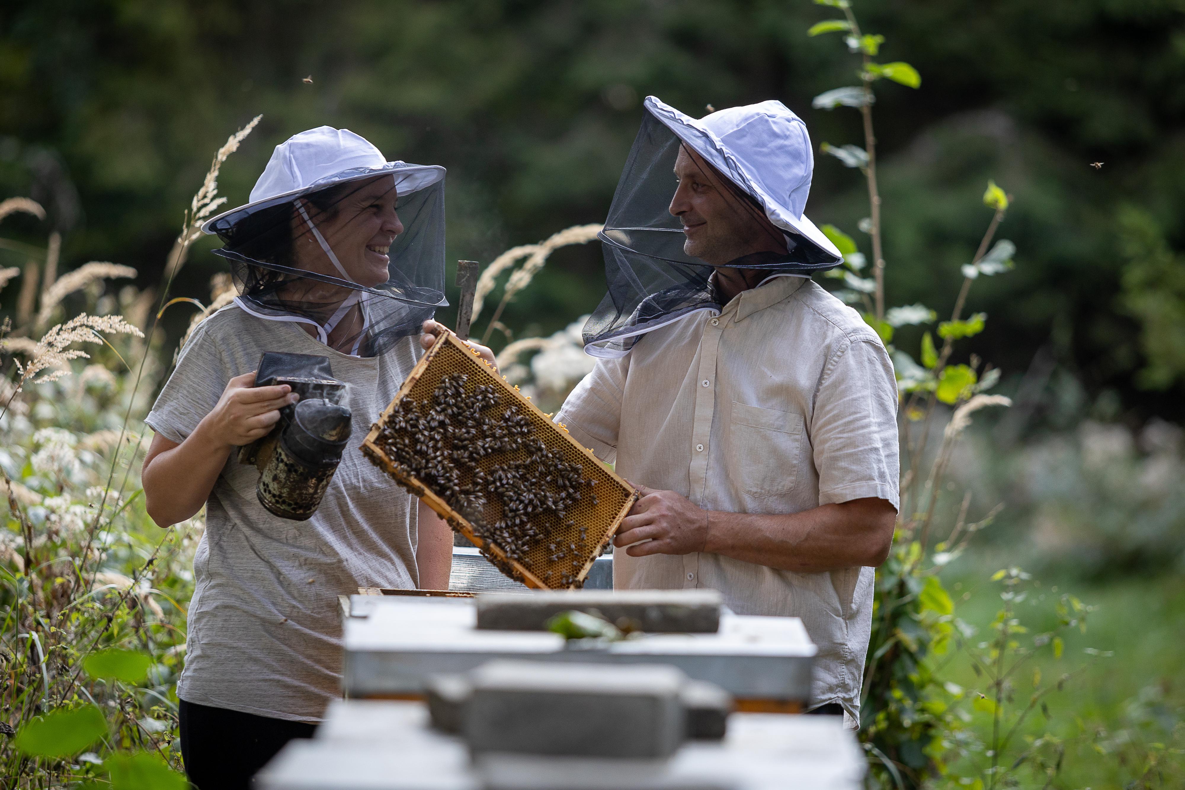 Včelařství Vranik
