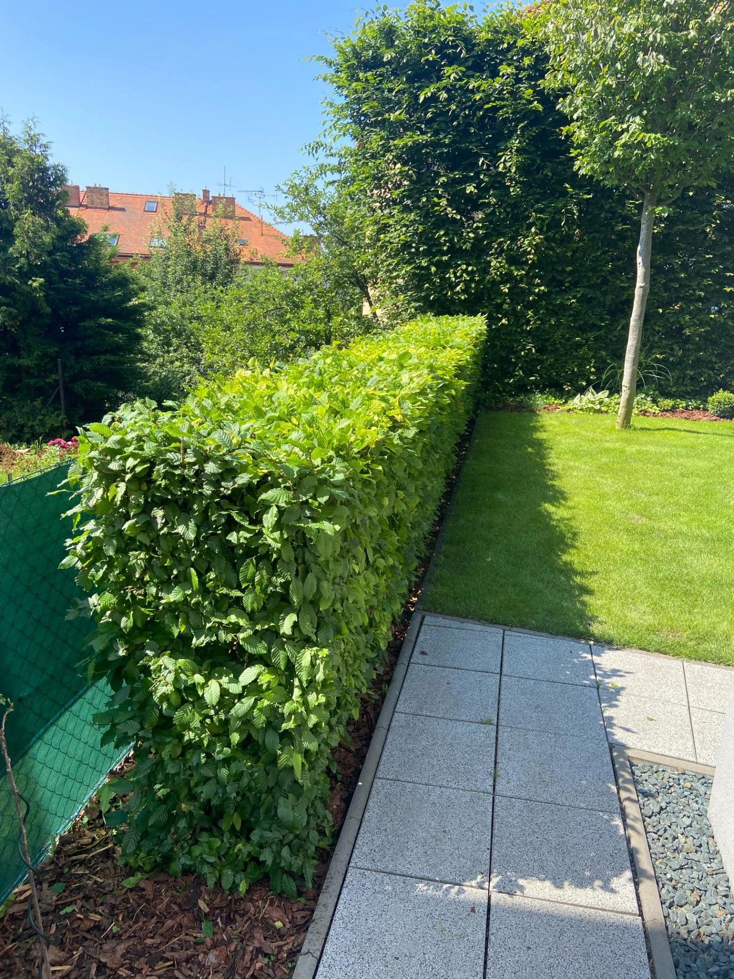 Zahradnické práce Lukáš Lehkoživ foto 4