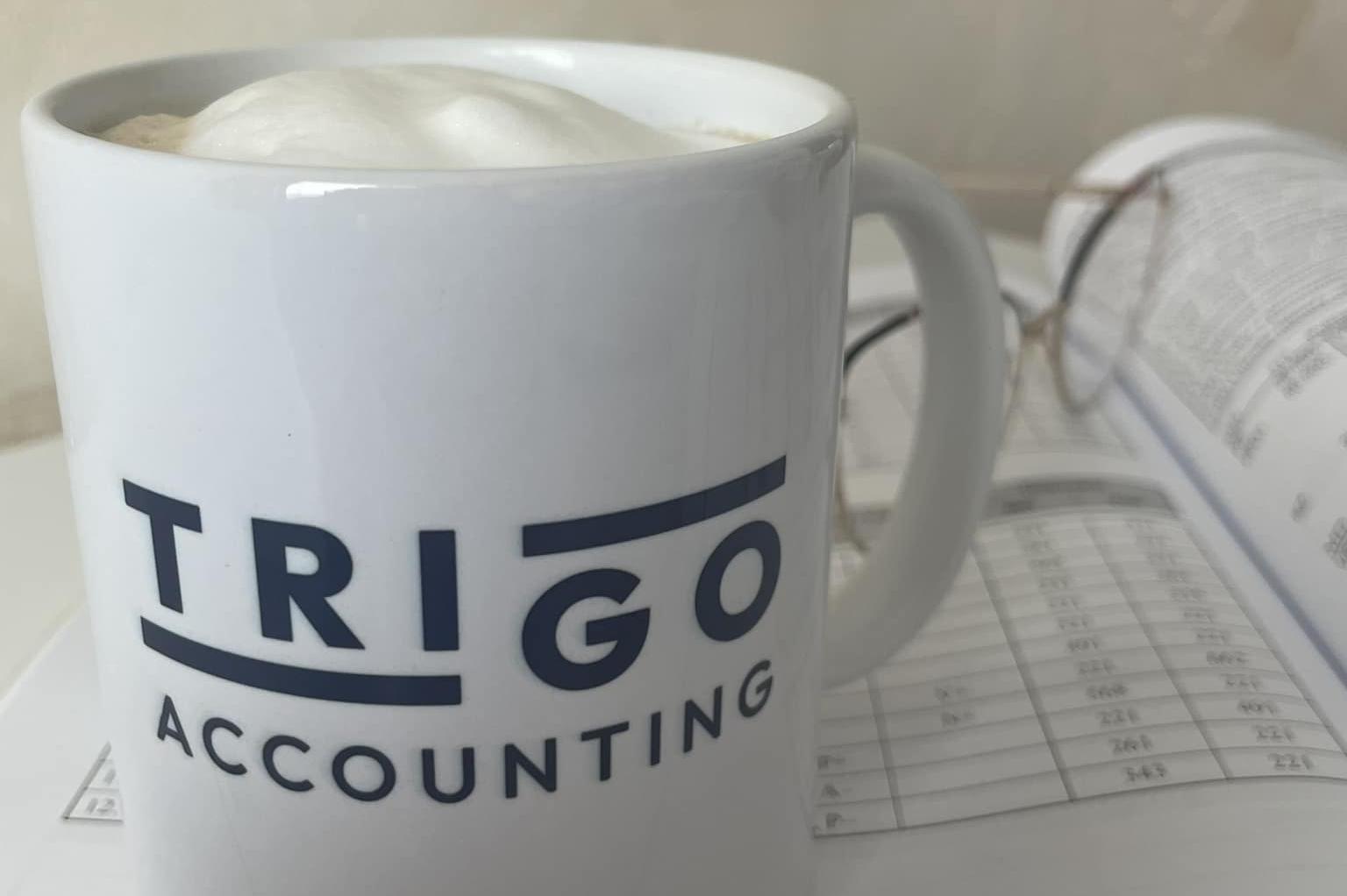 Trigo accounting - vedení účetnictví