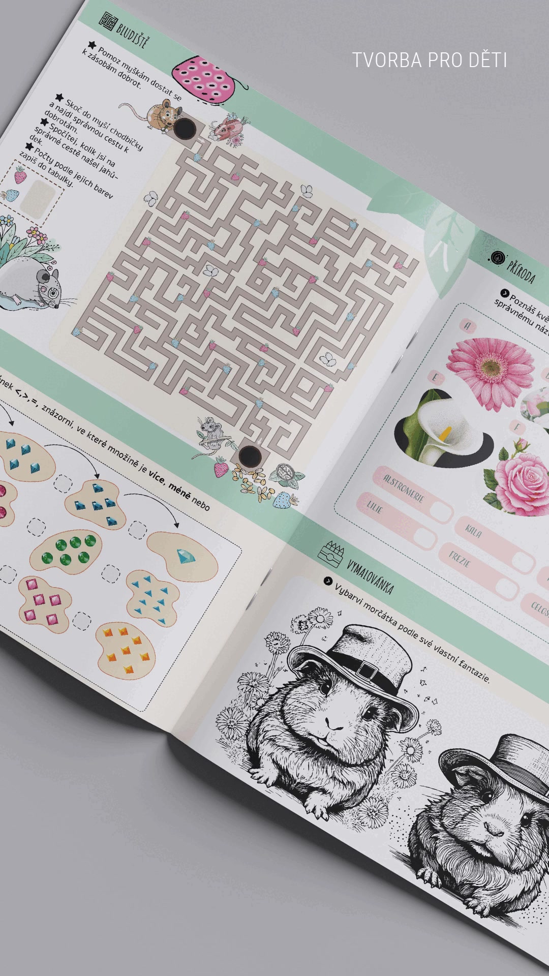 Grafika Ilustrace Kreativita Ing. Šárka Kukučková foto 2 (náhled videa)