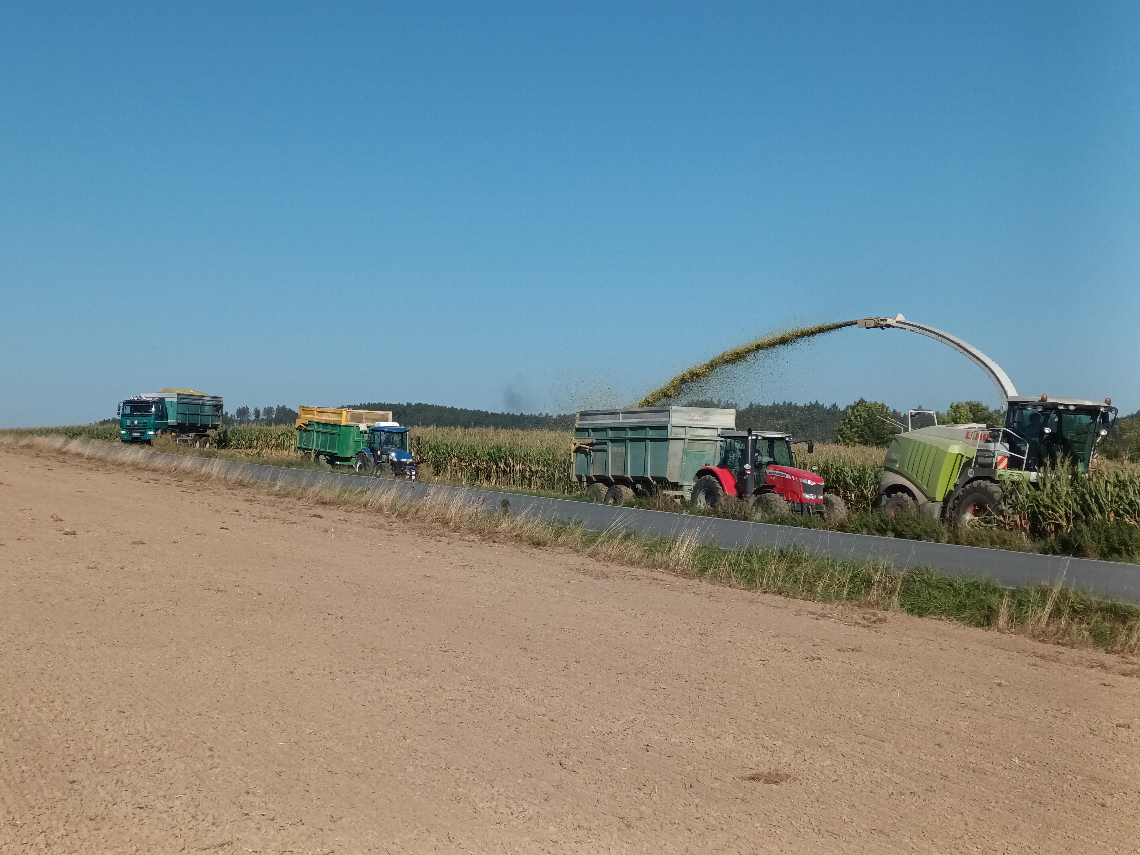 Zemědělské družstvo Křižanovsko foto 3