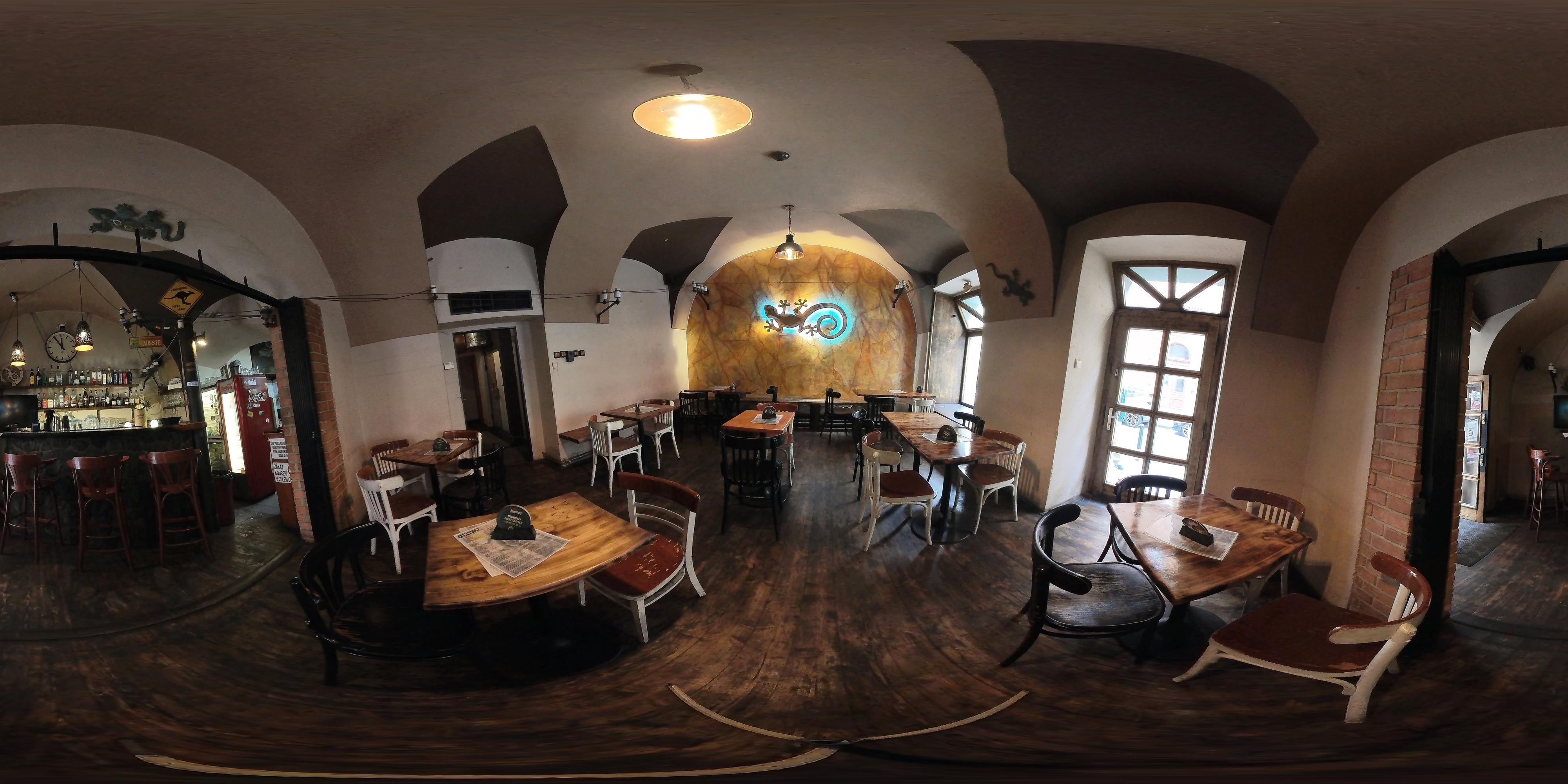 Nevinný bar Gecko foto 6