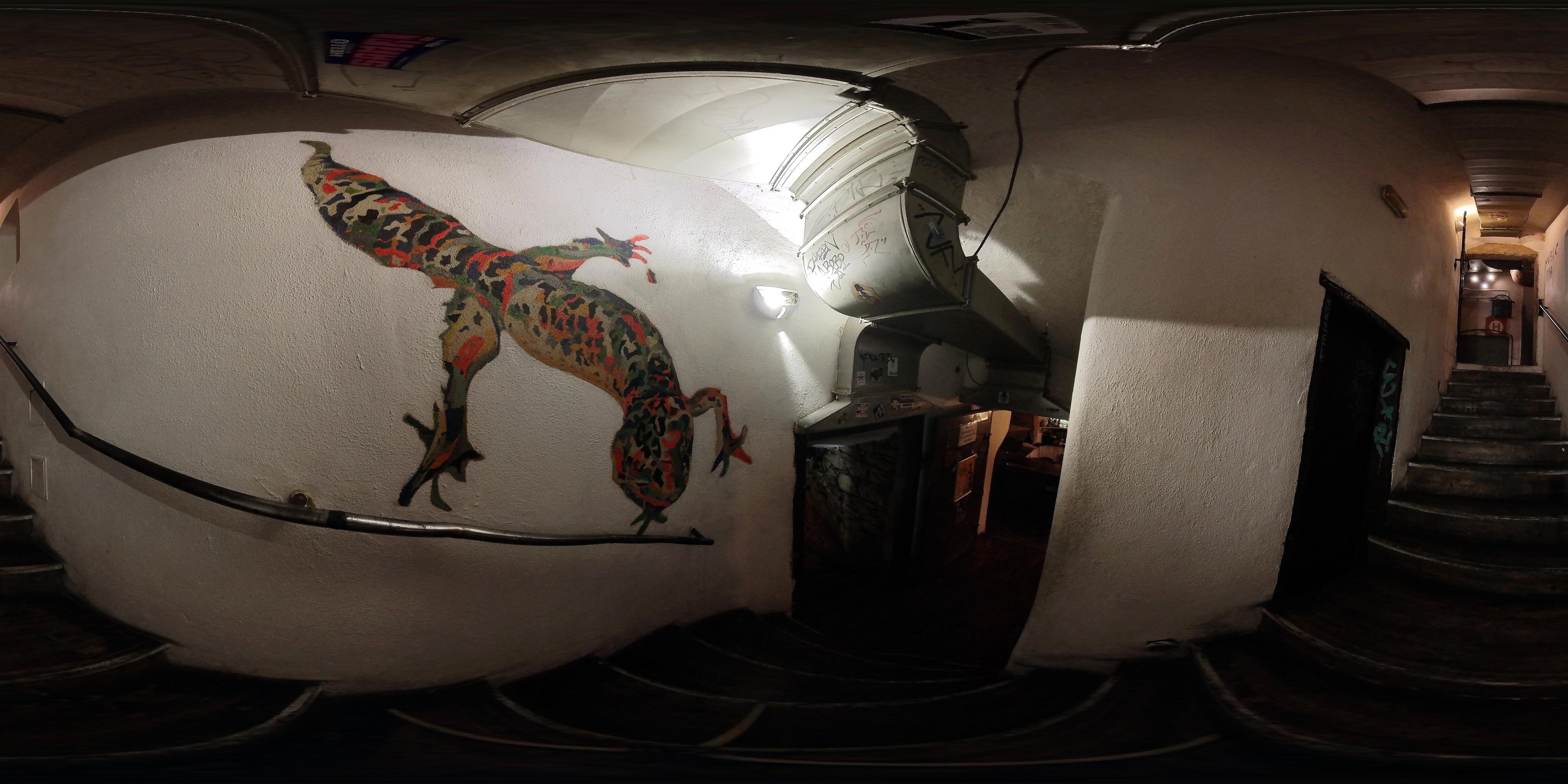 Nevinný bar Gecko foto 4