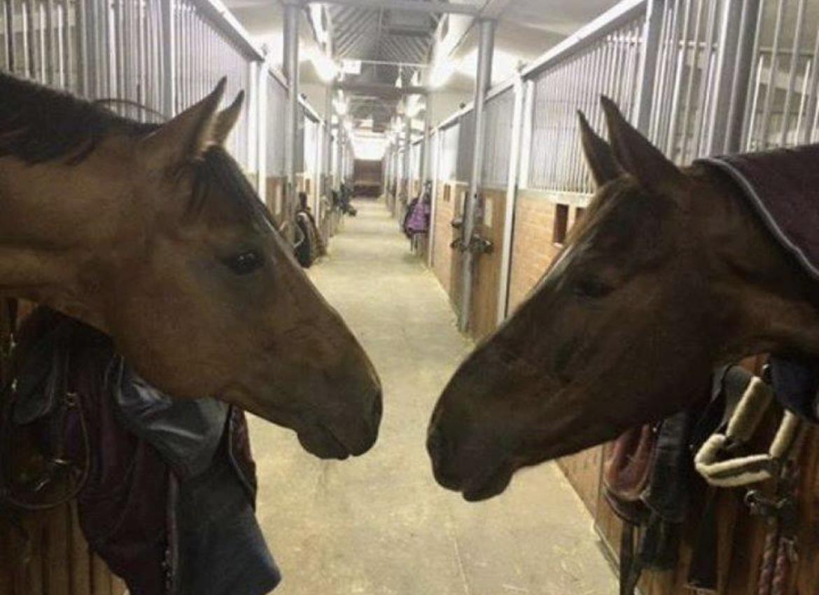 Jezdecké centrum Zájezd, s.r.o.