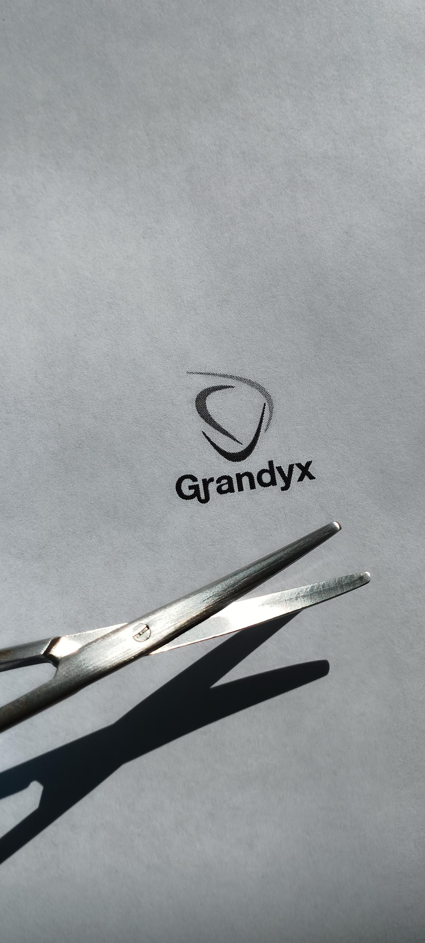 Grandyx s.r.o. - Chirurgické nástroje foto 3